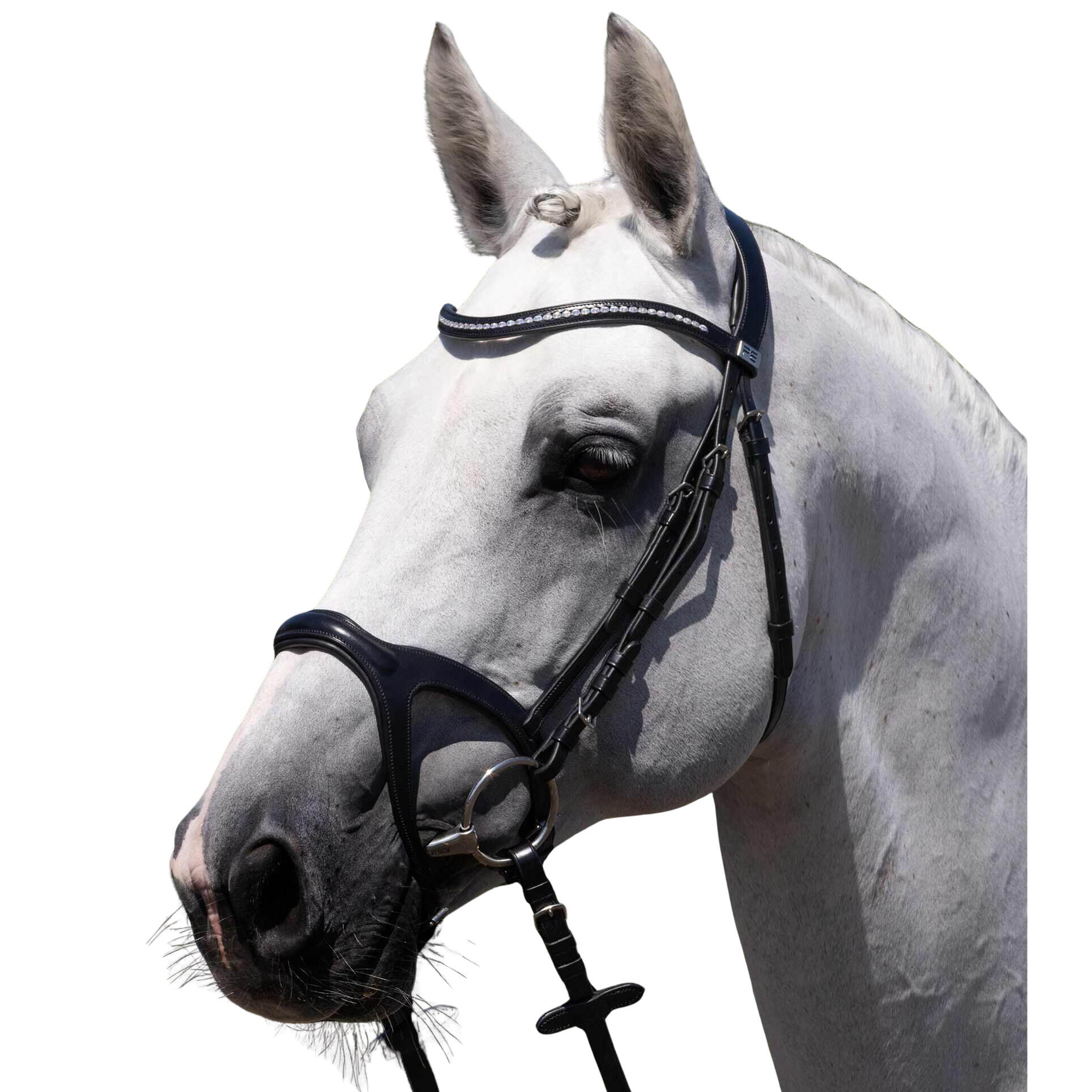 Siodło jeździeckie Premier Equine San Paolo