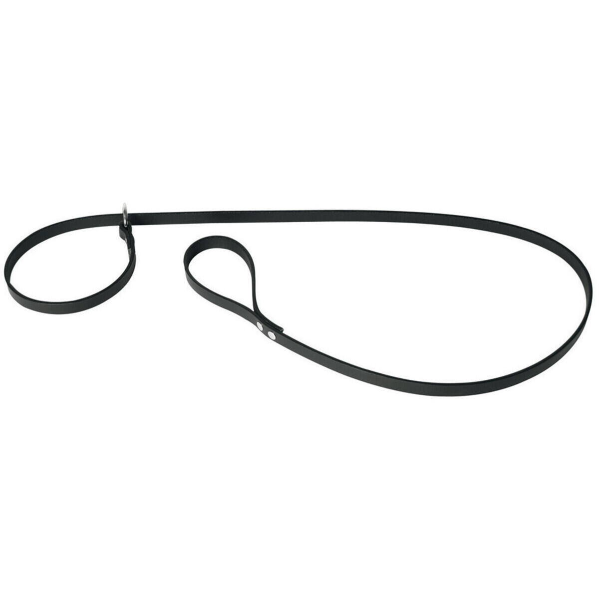 Smycz dla psa Martin Sellier