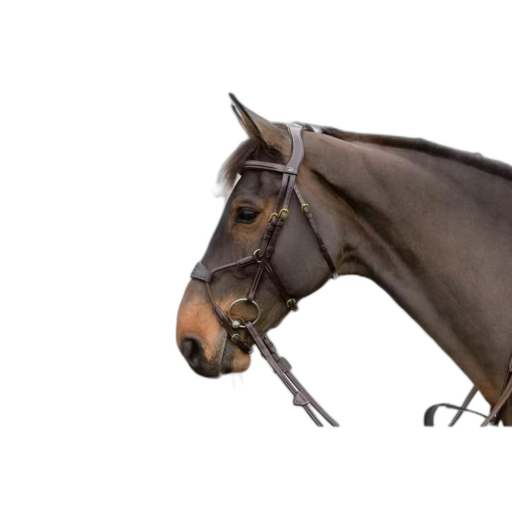 Anatomiczna elastyczna wędzidło jeździeckie z kombinowanym nosidełkiem Dy'on Hyb