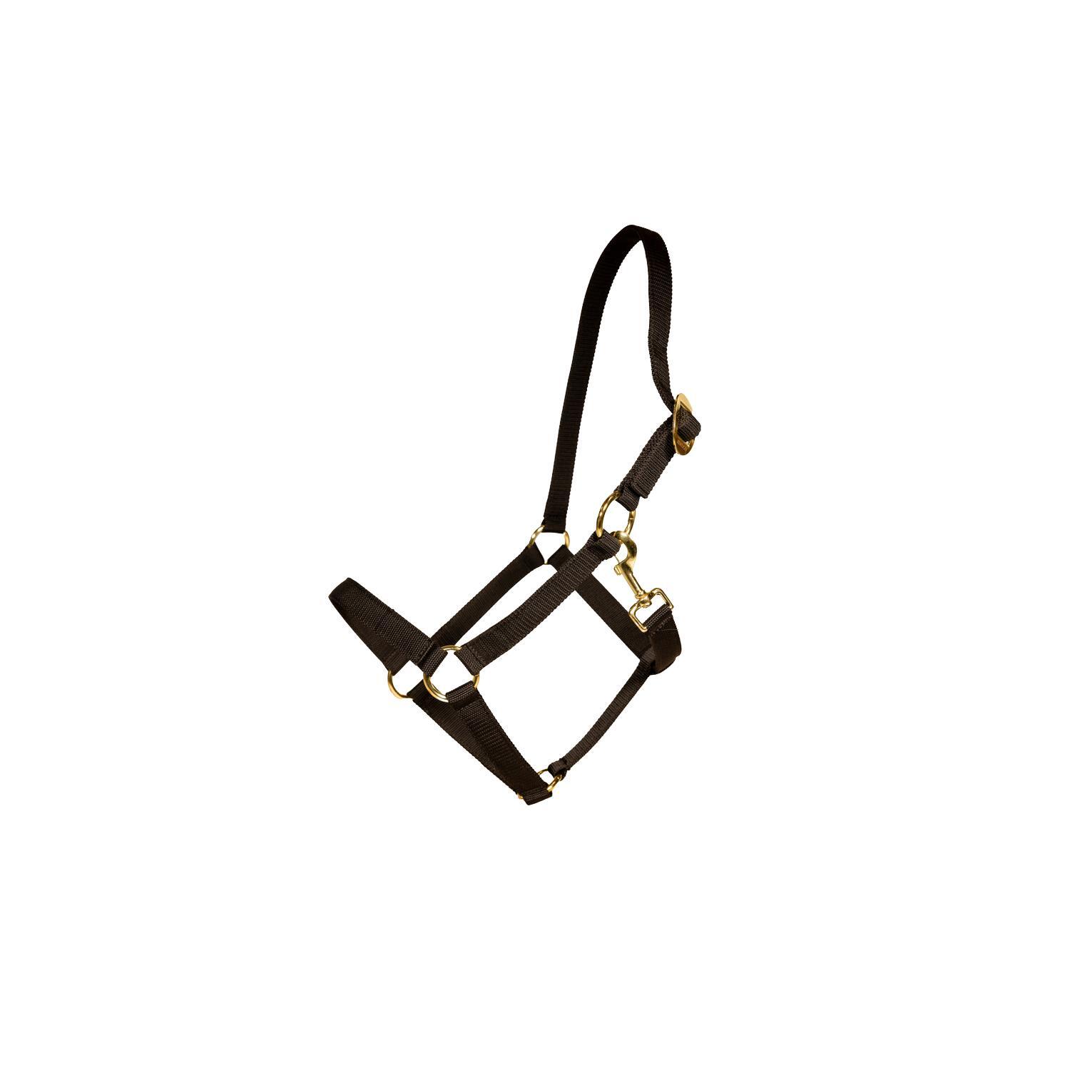 Smycz dla konia nylonowa Kentucky