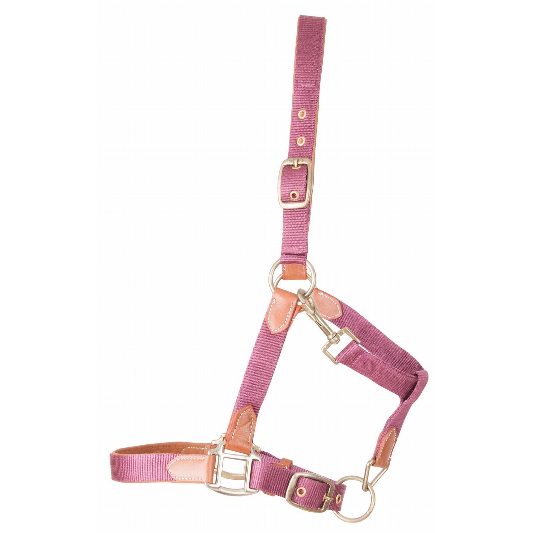 Skórzana halterka dla konia z paskiem T de T