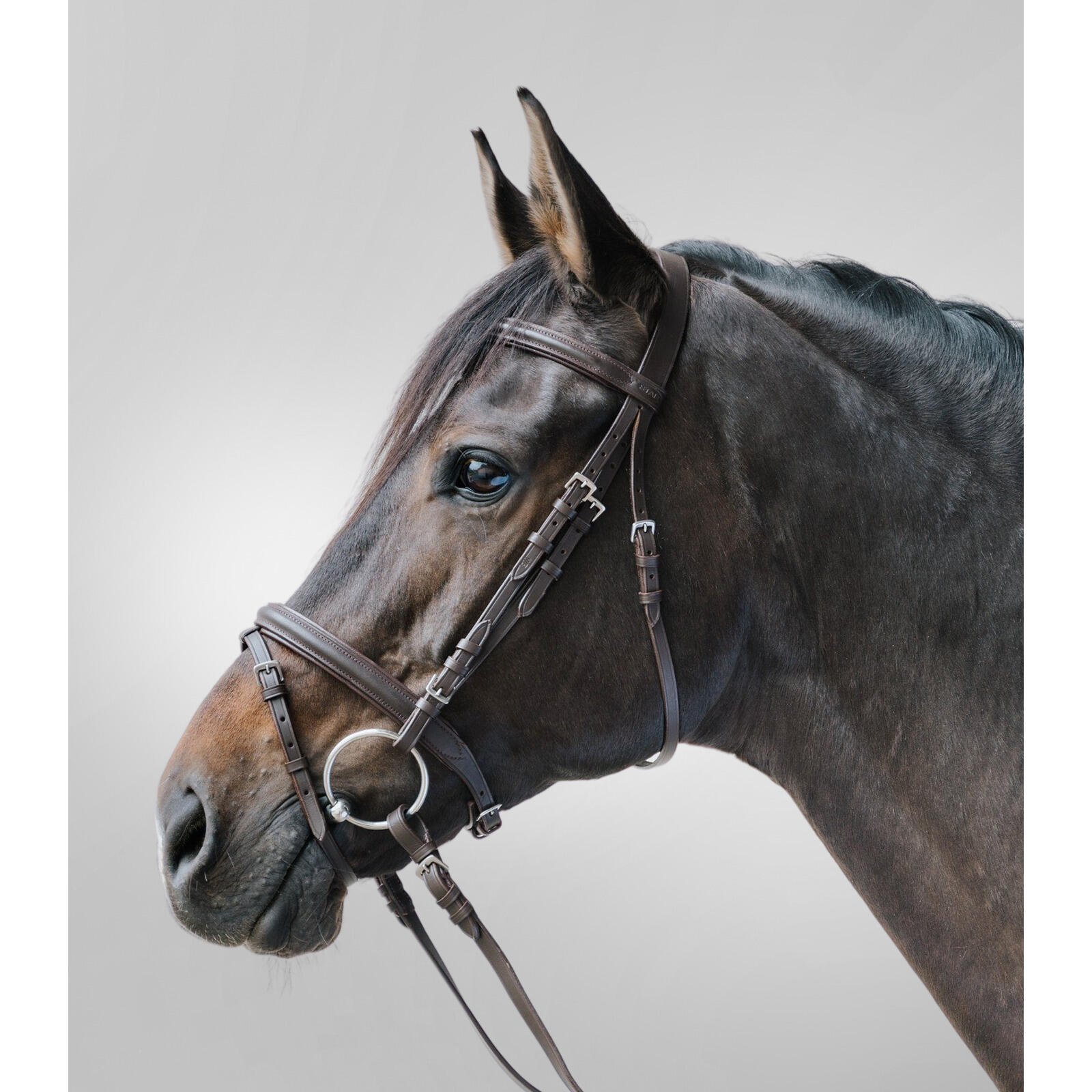 Siodło jeździeckie z kombinowanym nachrapnikiem Star Lifestyle