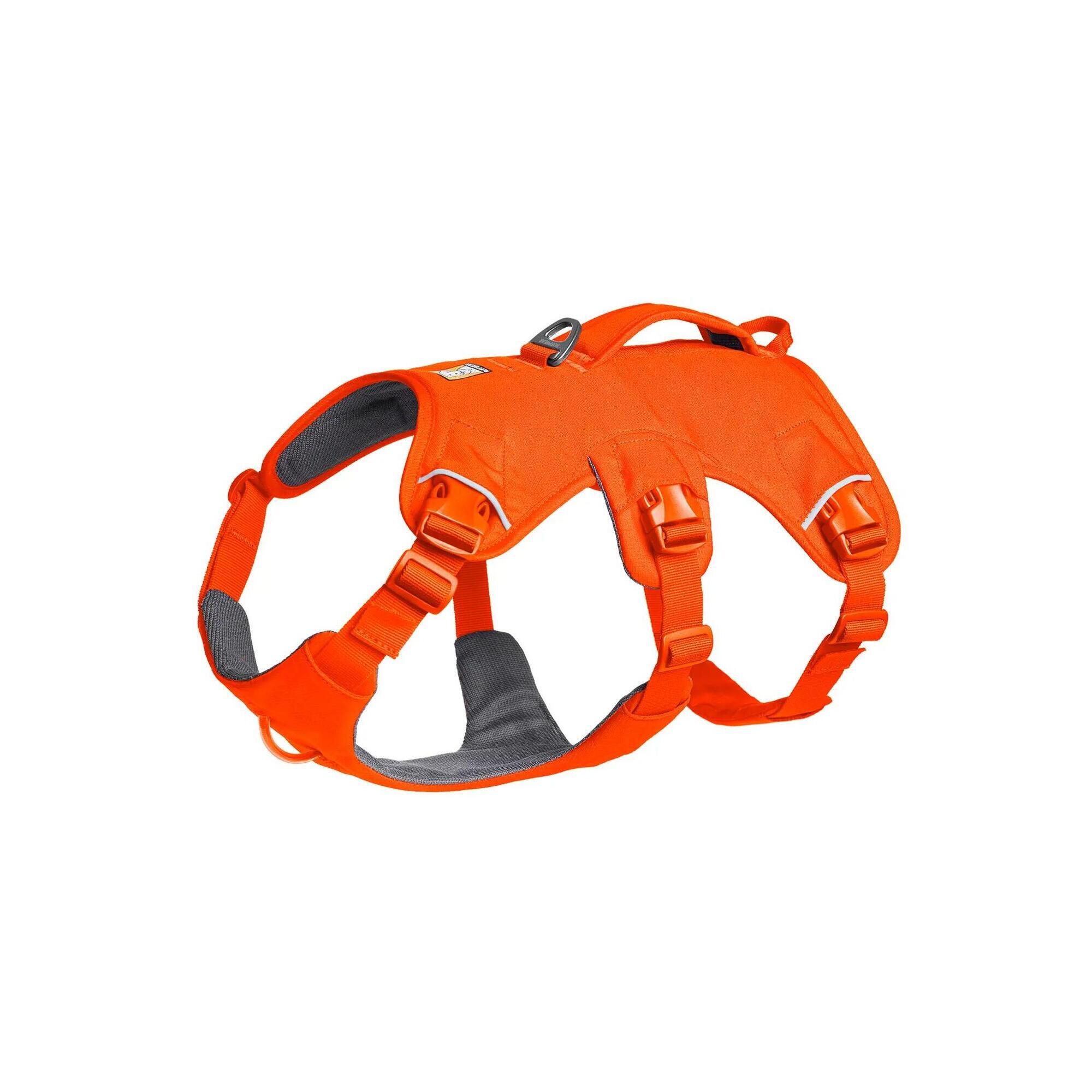 Szelki dla psa Ruffwear Web Master Harness