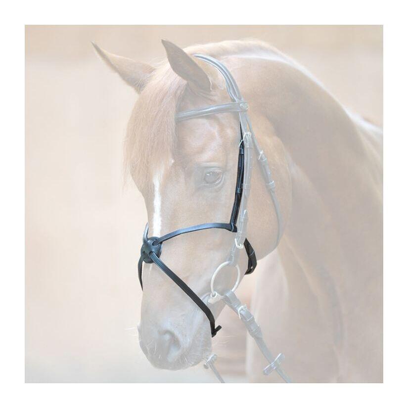 Nachrapnik Kavalkade Mexican