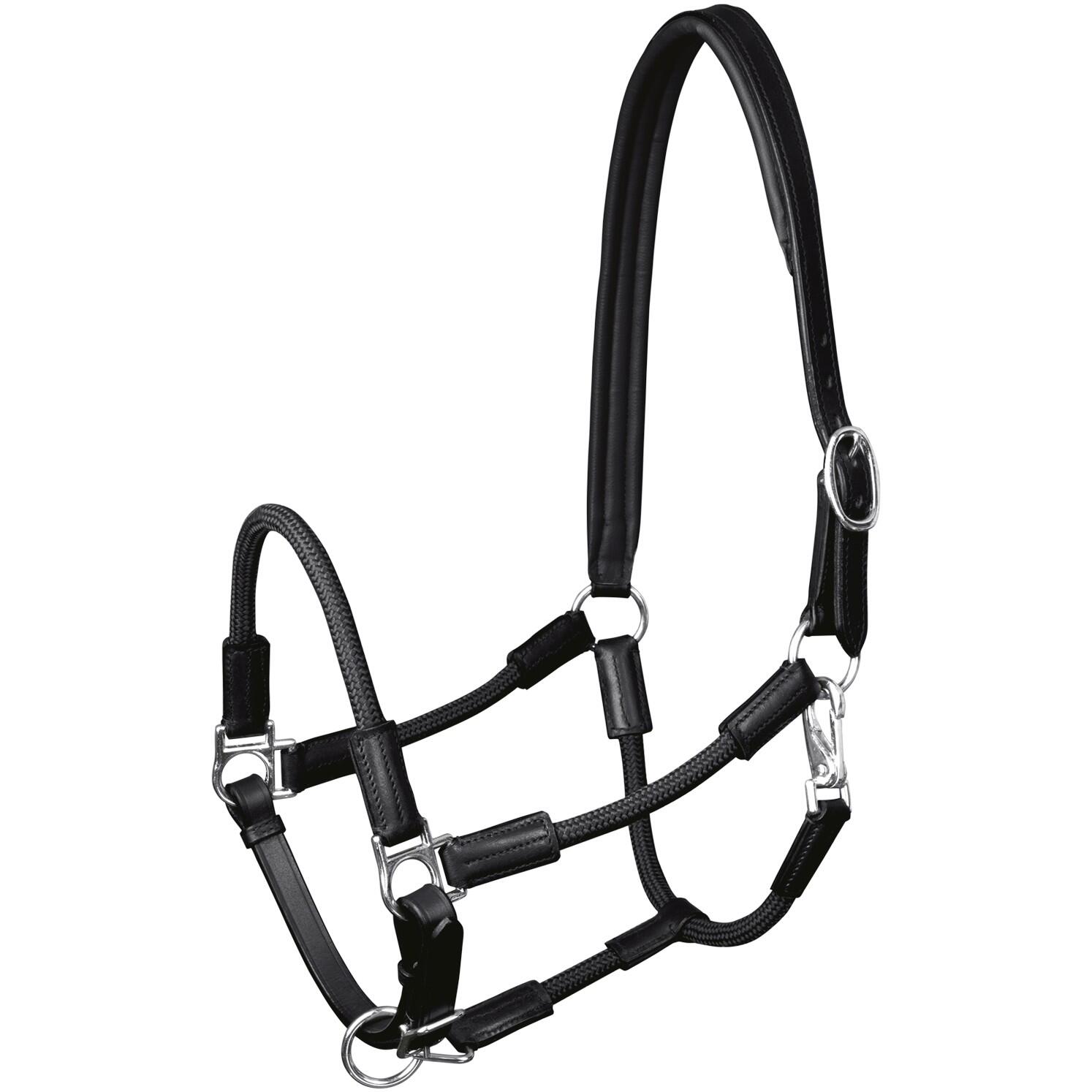 Kantar dla koni Waldhausen Nevada