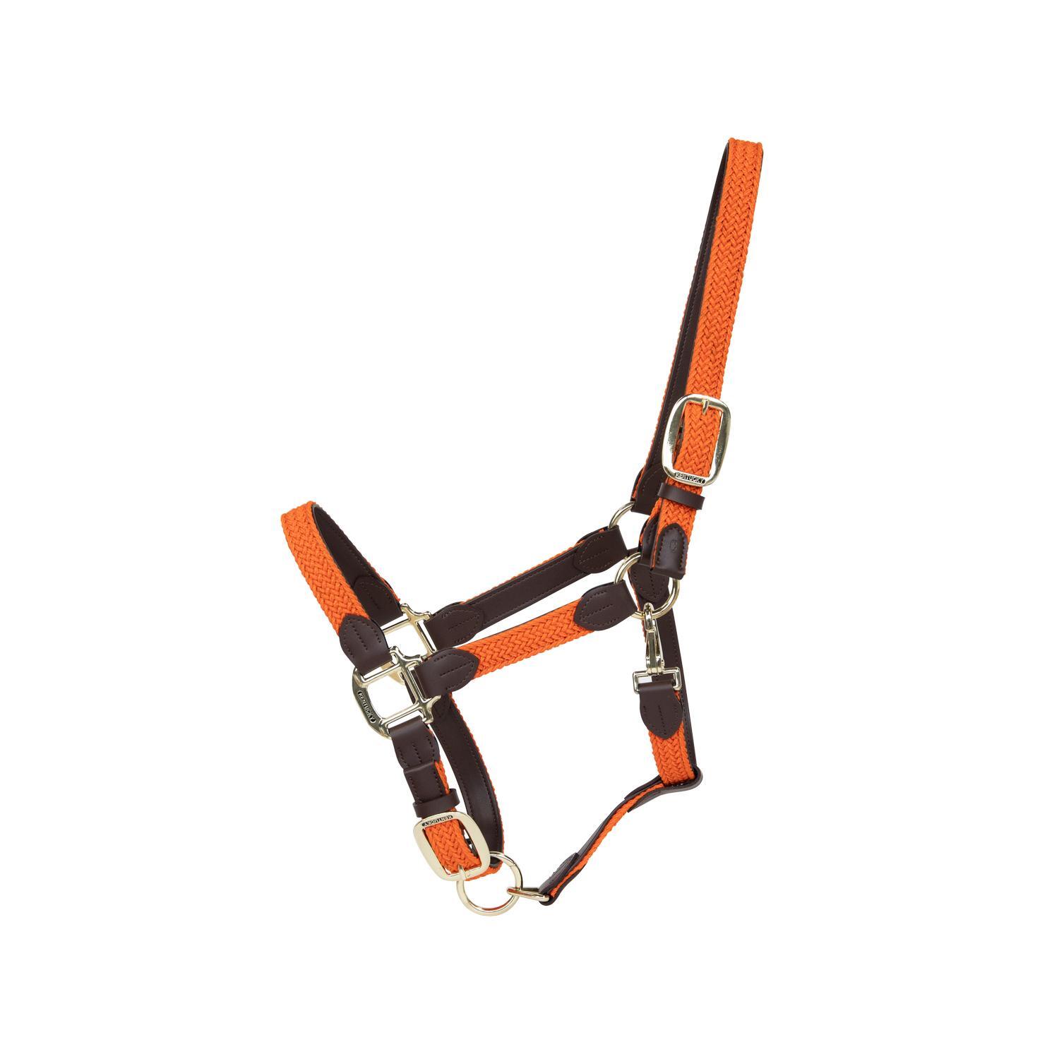 Pleciony Kantar nylon Kentucky