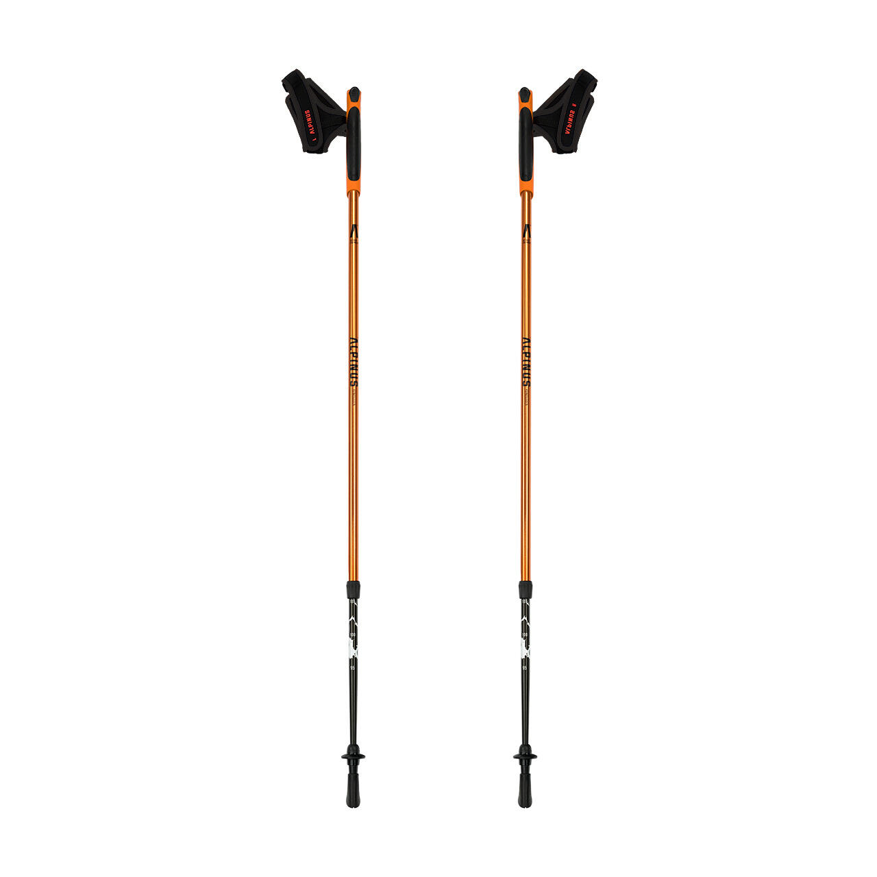 Kijki nordic walking Alpinus Kungsleden