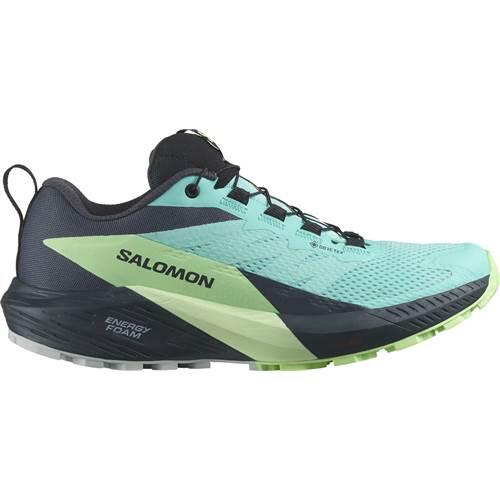 Buty do biegania damskie Salomon Sense Ride 5 Gtx