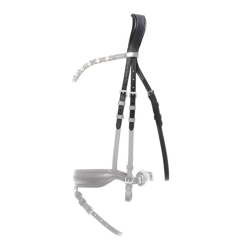 Nagłówek Kavalkade Cre8