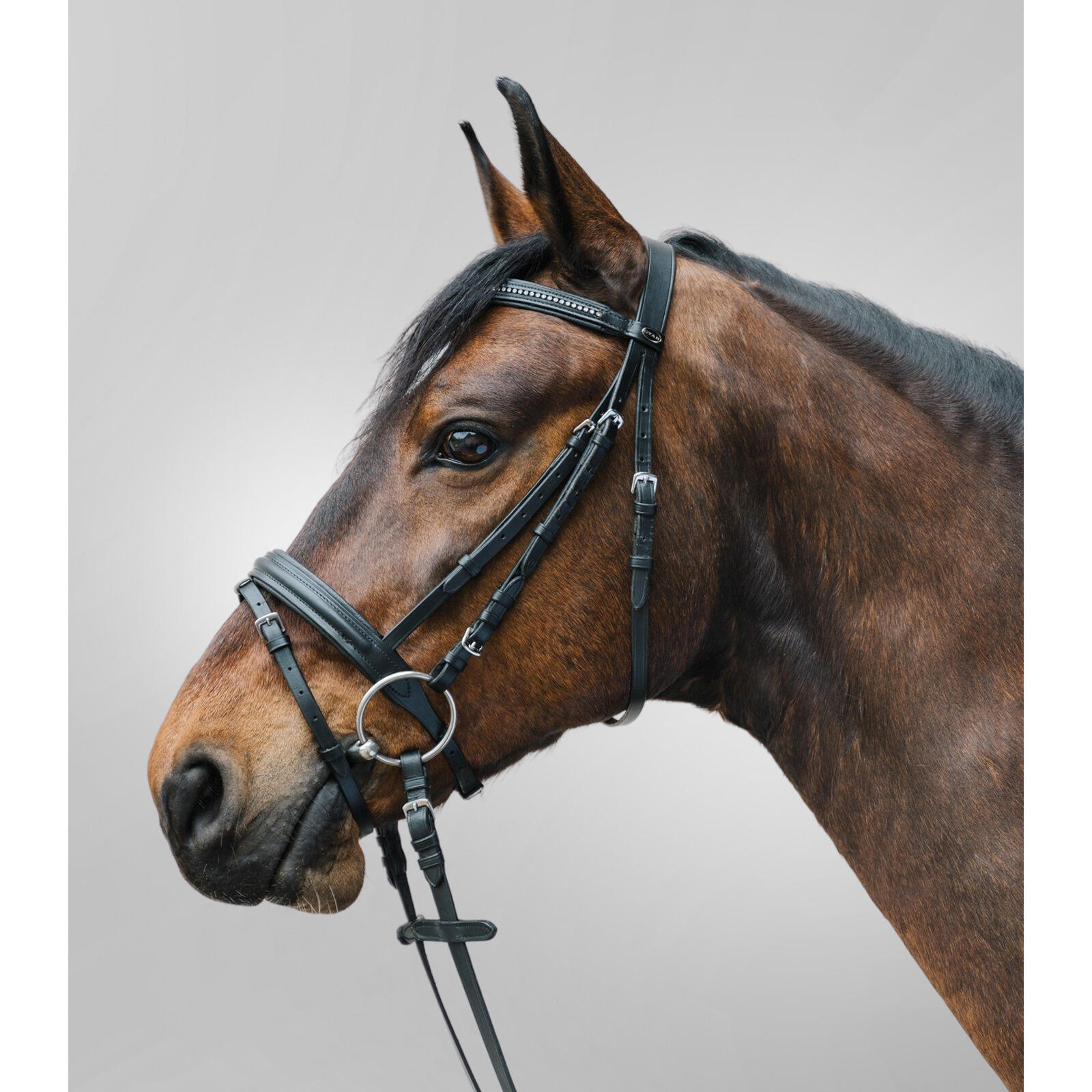 Siodło jeździeckie z kombinowanym nachrapnikiem Star Diamond