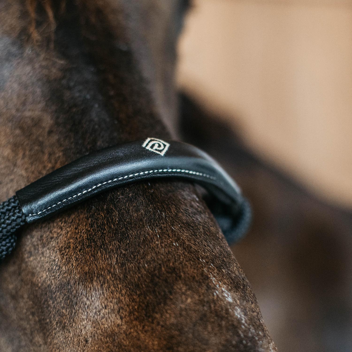 Kantar treningowy dla koni Dy'on