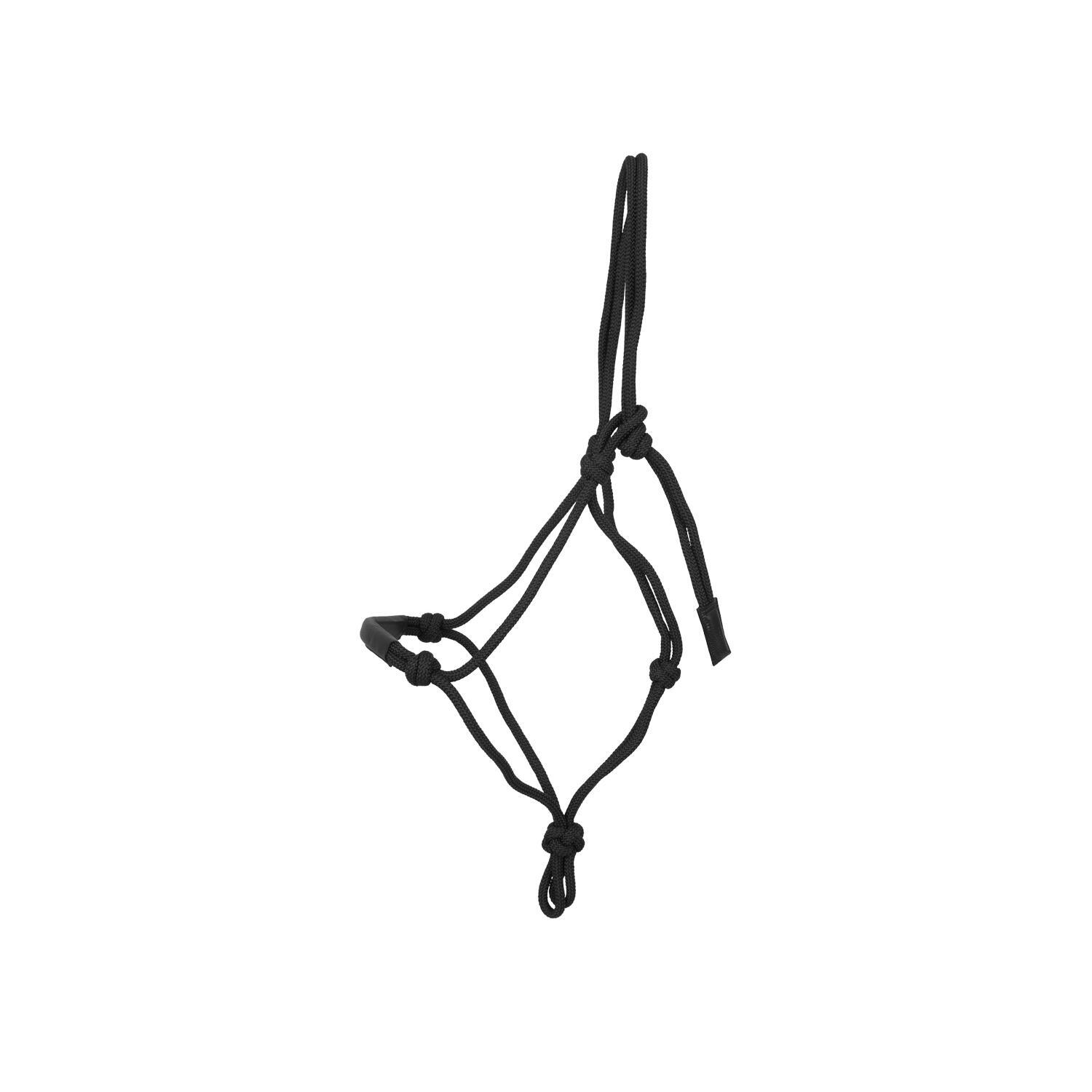 Kantar treningowy dla koni Dy'on