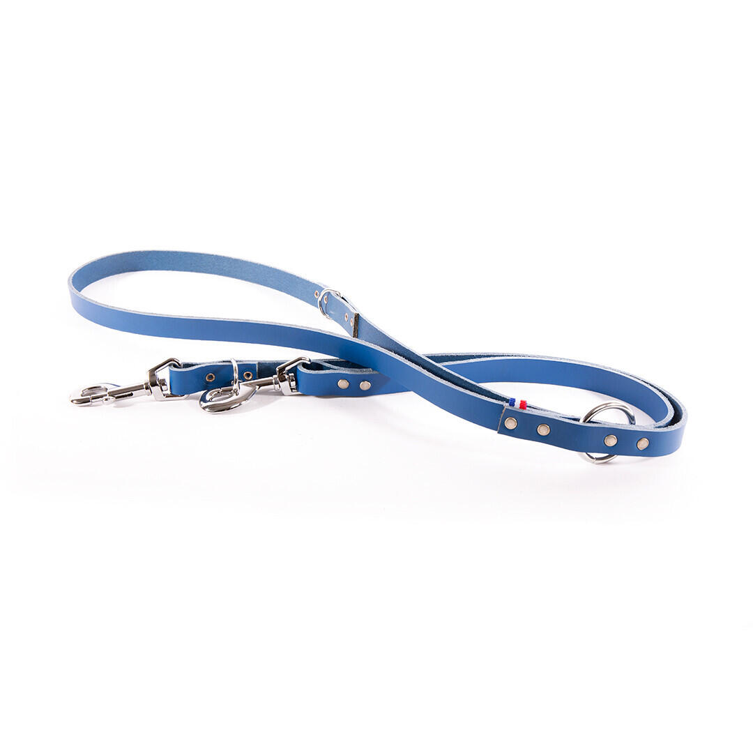 Dwustronna skórzana smycz dla psa Martin Sellier 499