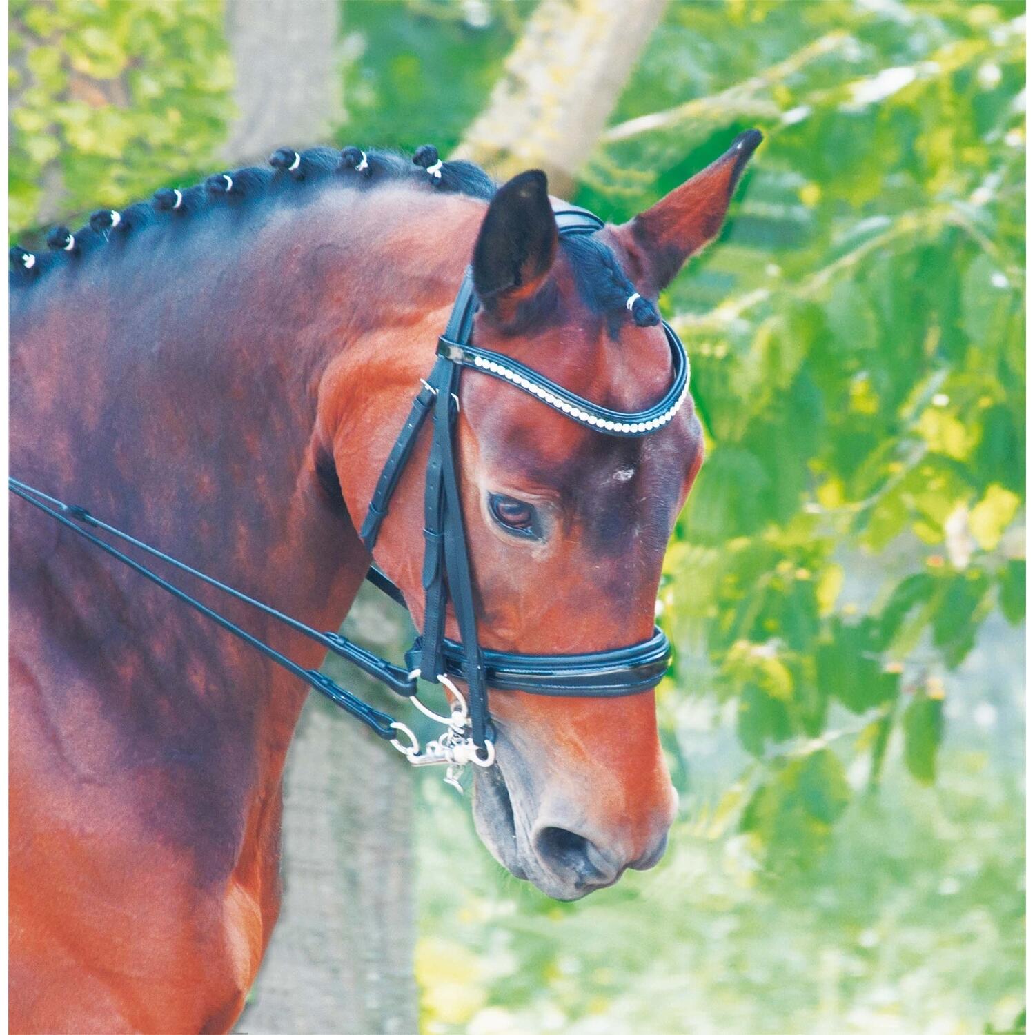 Ogłowie bezwędzidłowe T de T Cezanne