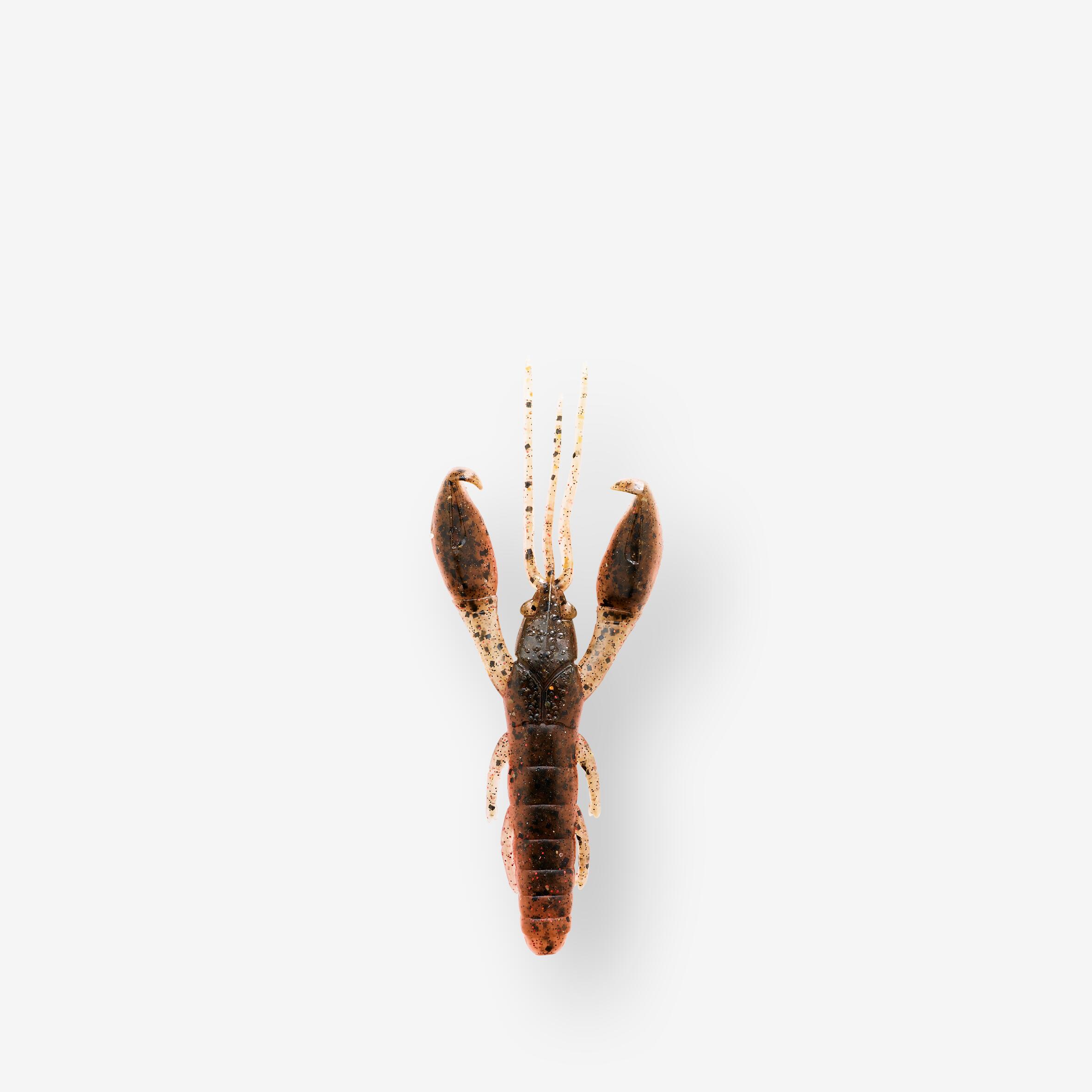 Przynęta miękka nasączona atraktorem Caperlan Yubari CRW 2,5" 6,5 cm young craw