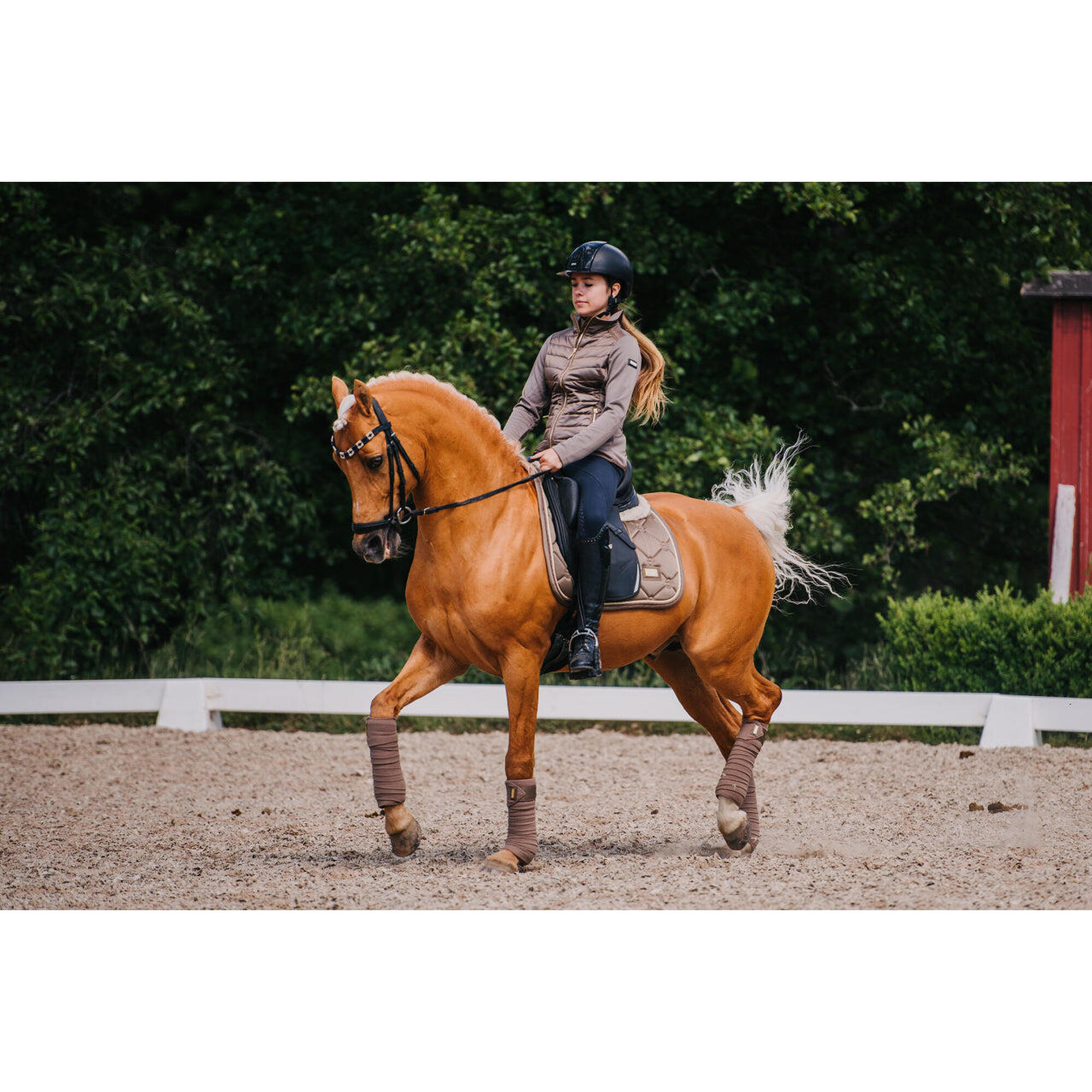 Mata ujeżdżeniowa dla koni Equestrian Stockholm