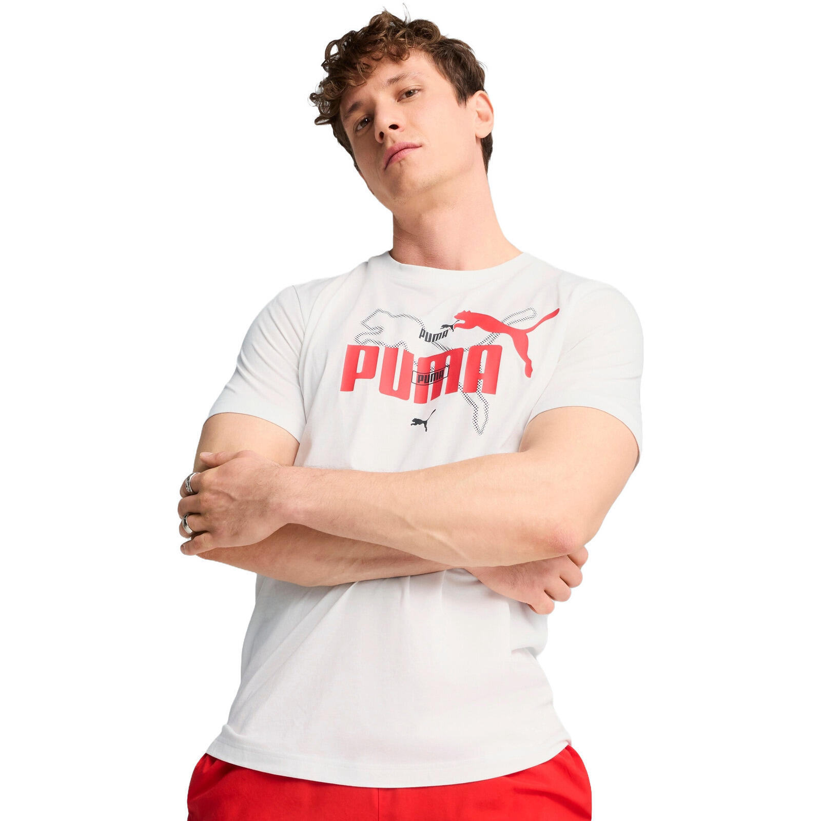 Koszulka męskie Puma Ess Logo Lab Summer Tee
