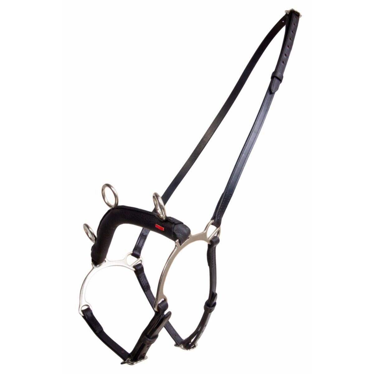 Boks dla koni z barem Karlslund