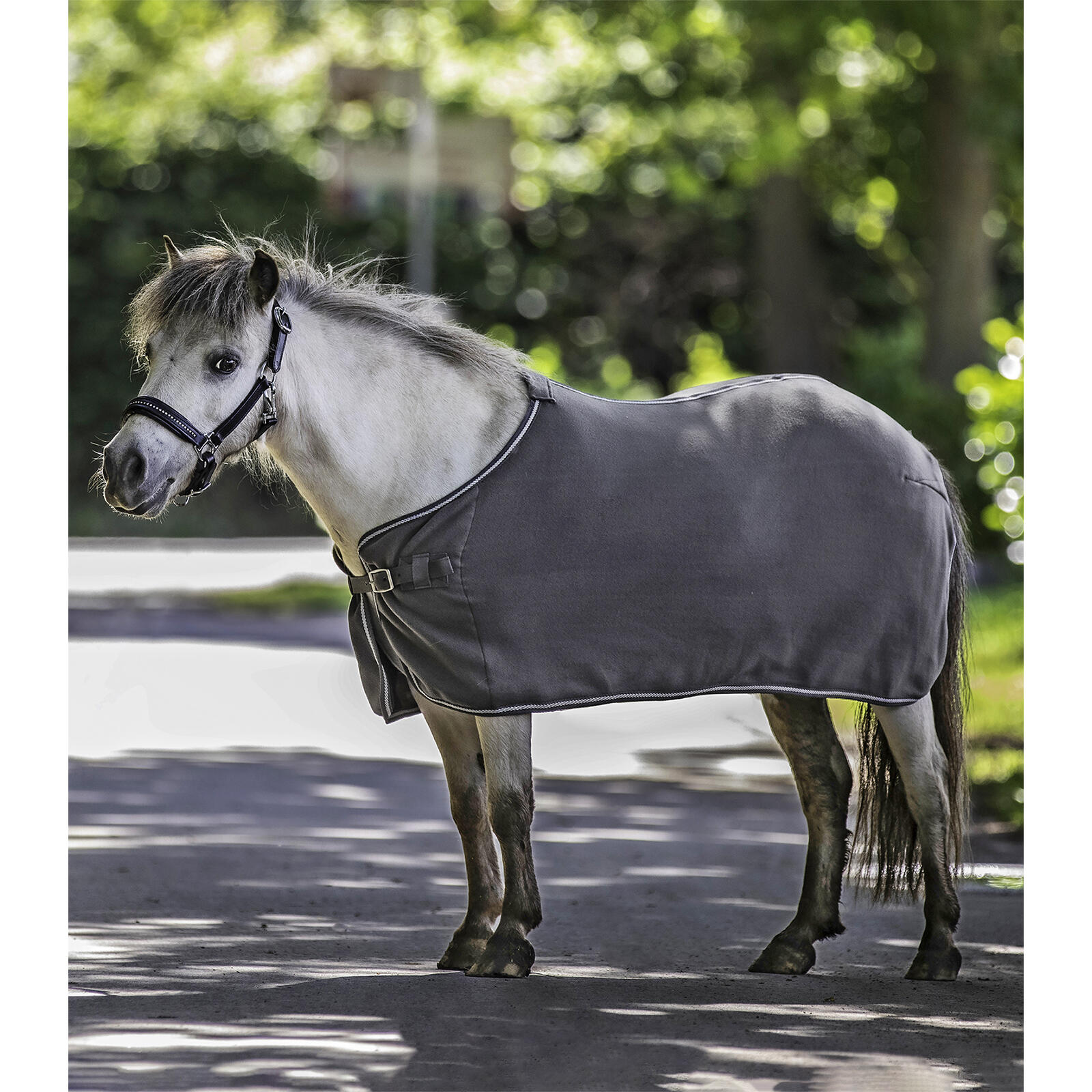 Polary końskie Waldhausen Economic