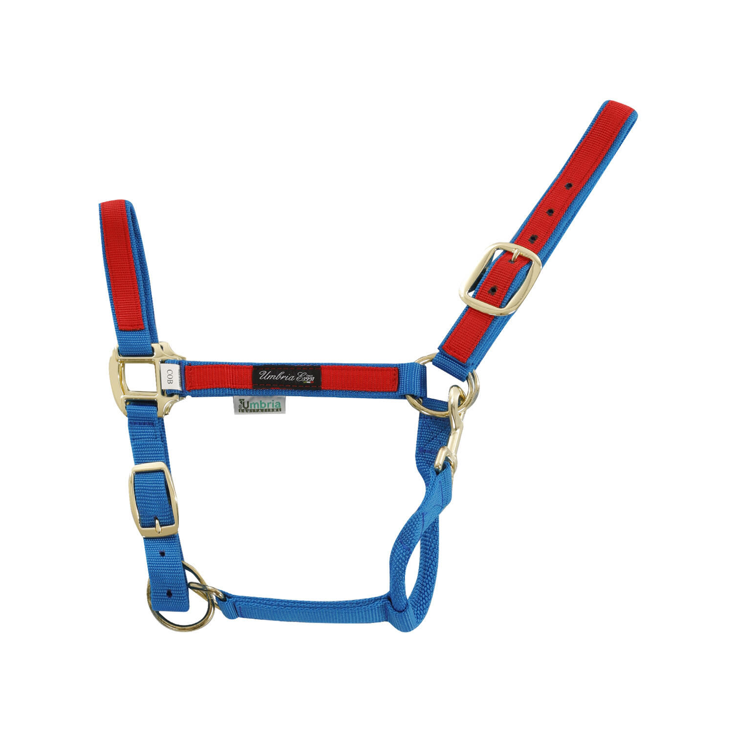 Smycz dla konia z kolorowego nylonu Umbria Equitazione