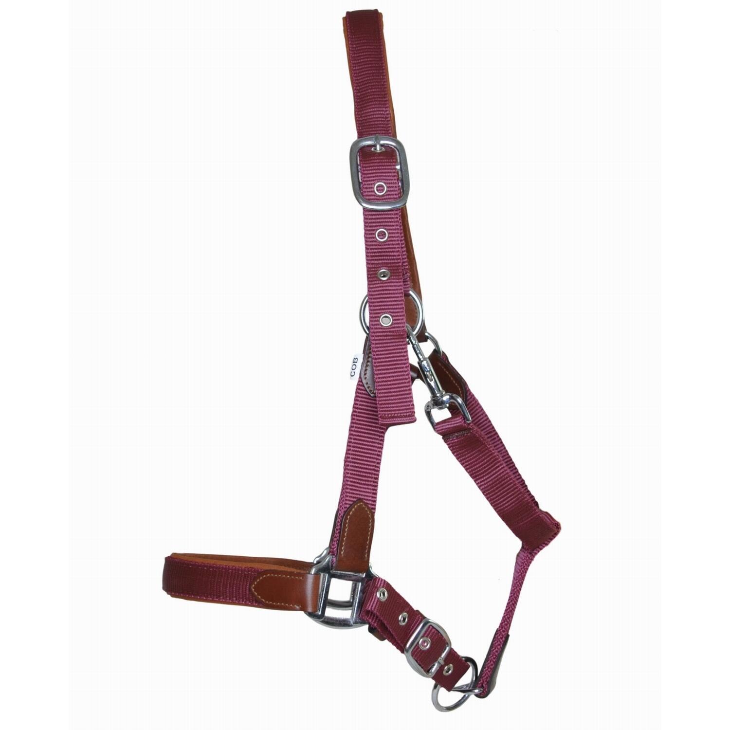 Nagłówek dla konia ze skóry i paska T de T