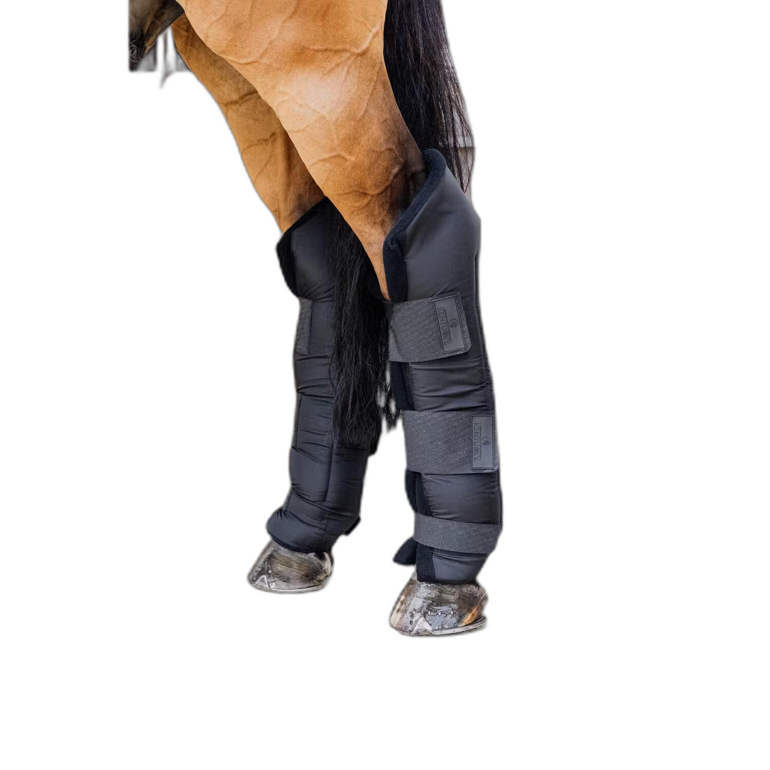 Tylne zamknięte buty dla koni Kentucky Protect Long Hing