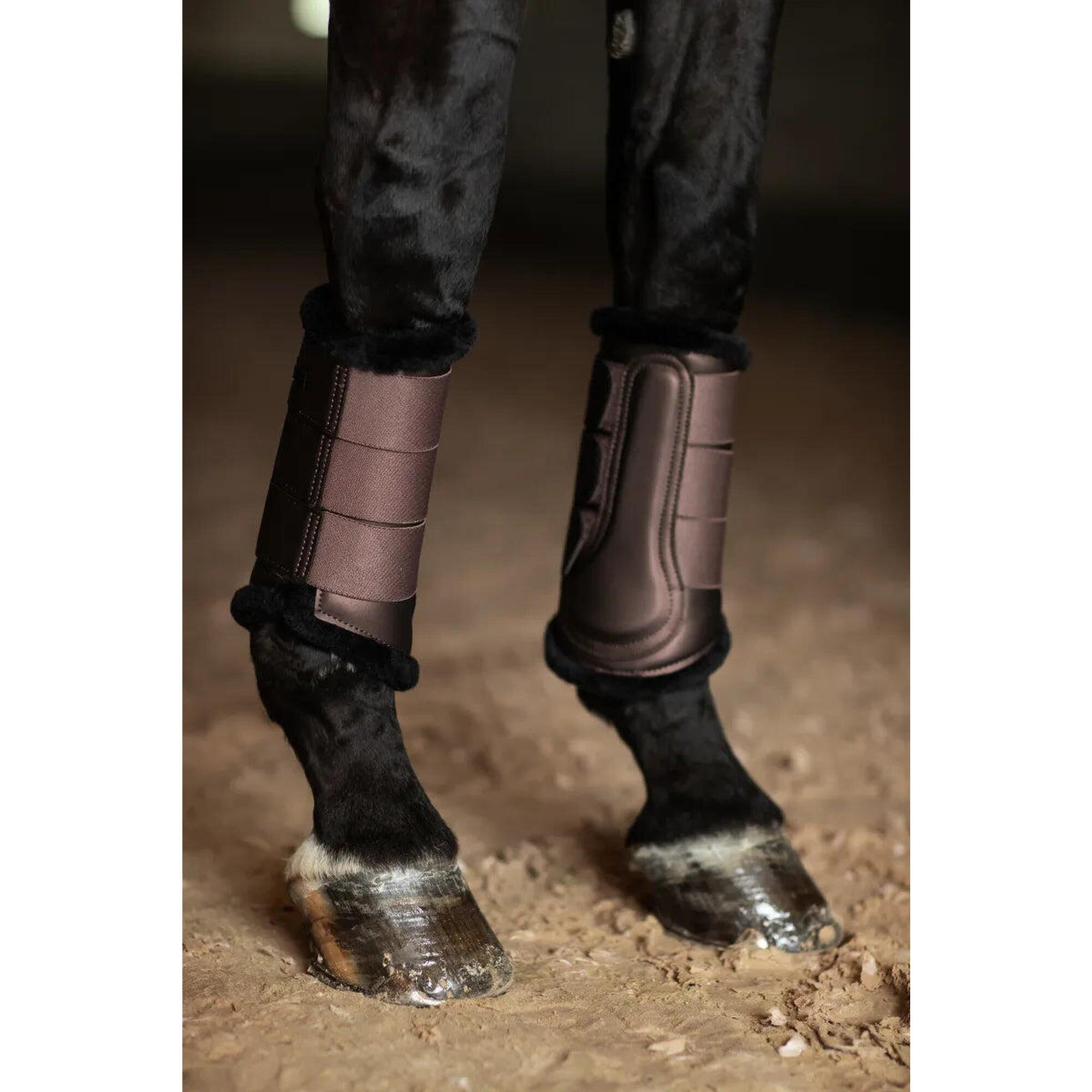 Zamknięte buty dla koni Equestrian Stockholm