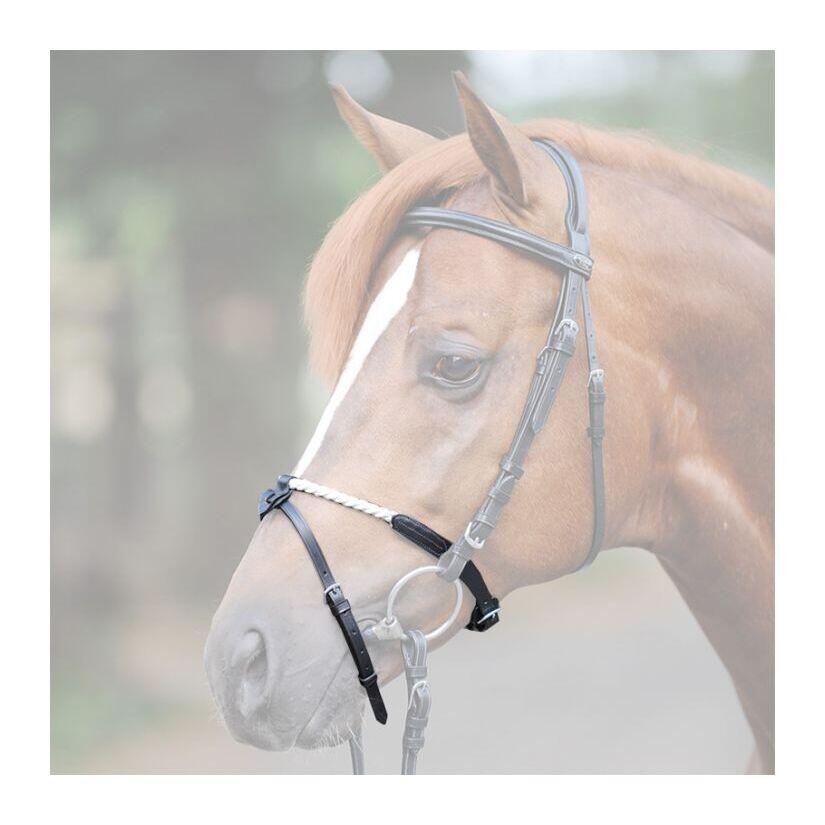 Nachrapnik Kavalkade