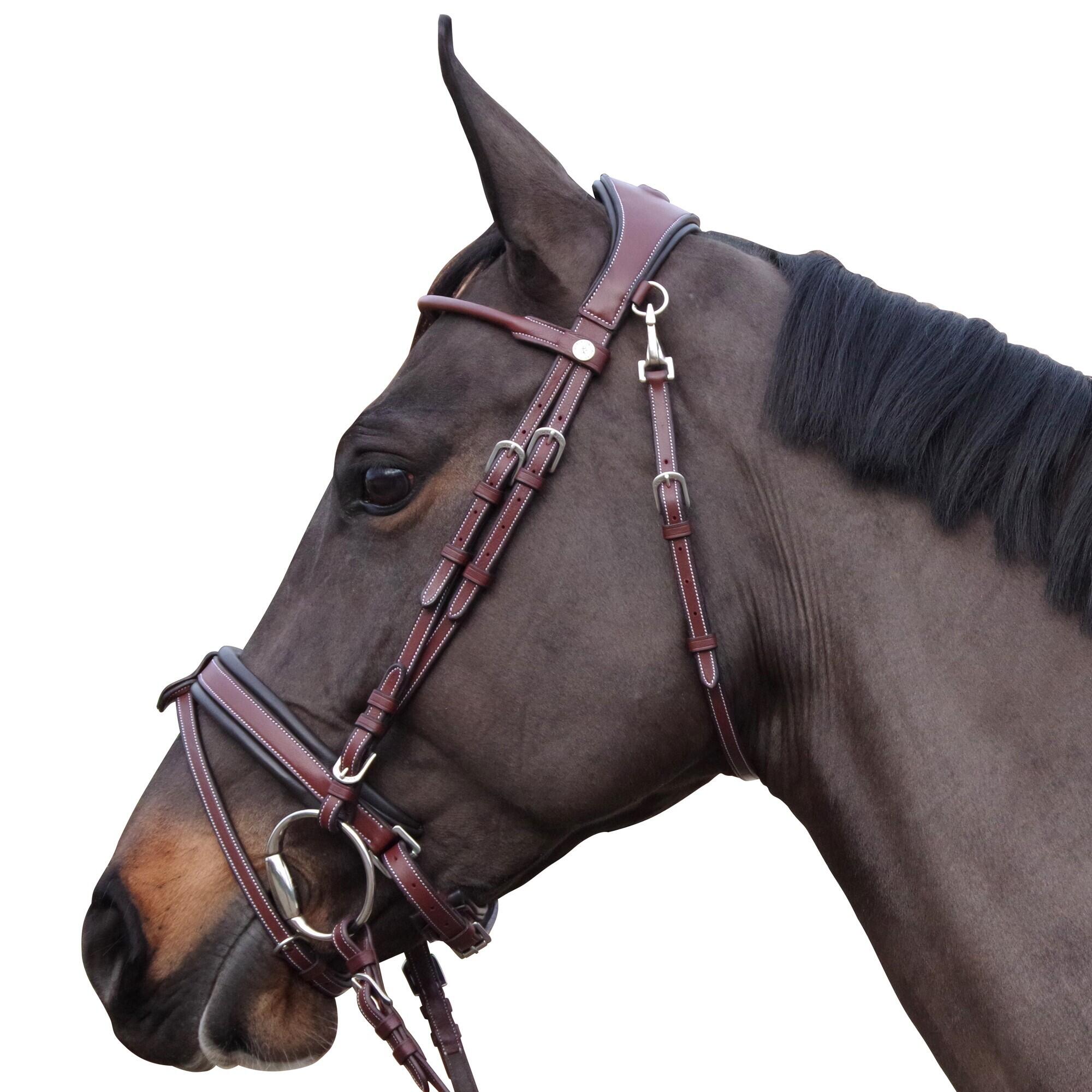 Uzda do jazdy konnej Flags&Cup Madrid