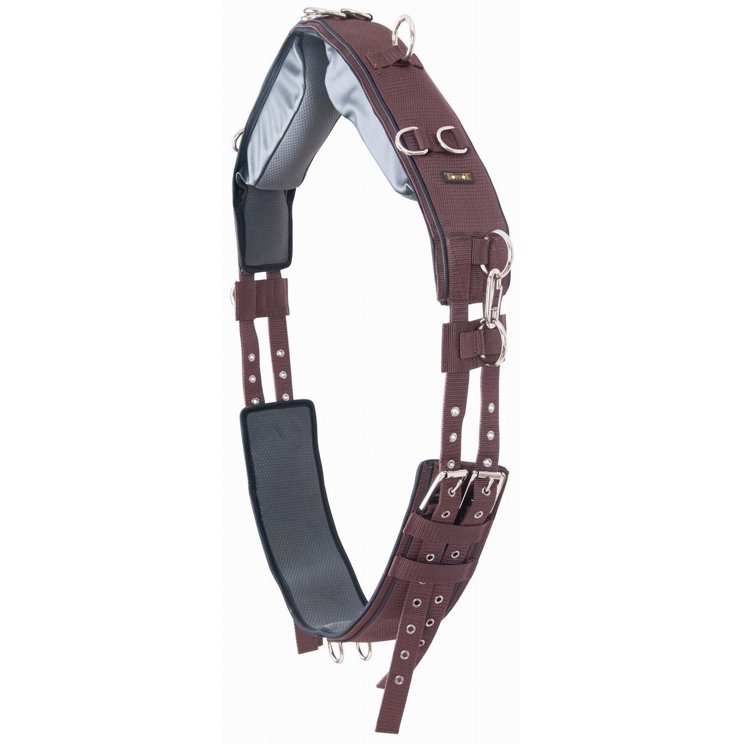 Deska surfingowa dla koni T de T