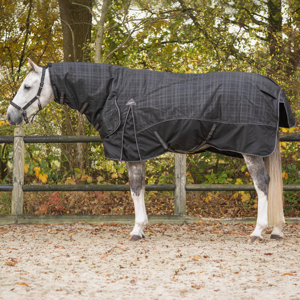 Koc z wycięciem na szyję dla konia QHP Collection 300g