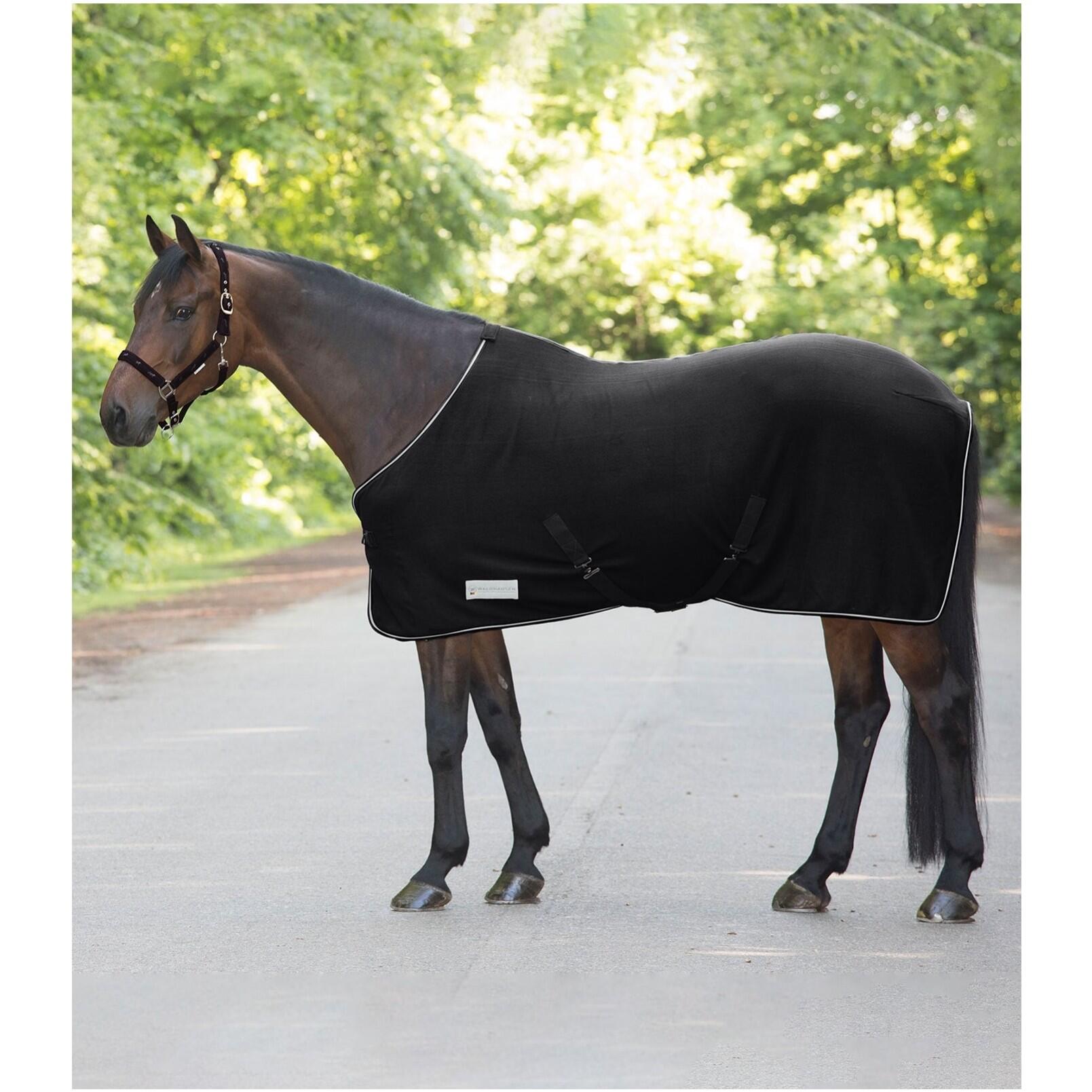 Polar dla konia z krzyżującymi się pasami Waldhausen Economic