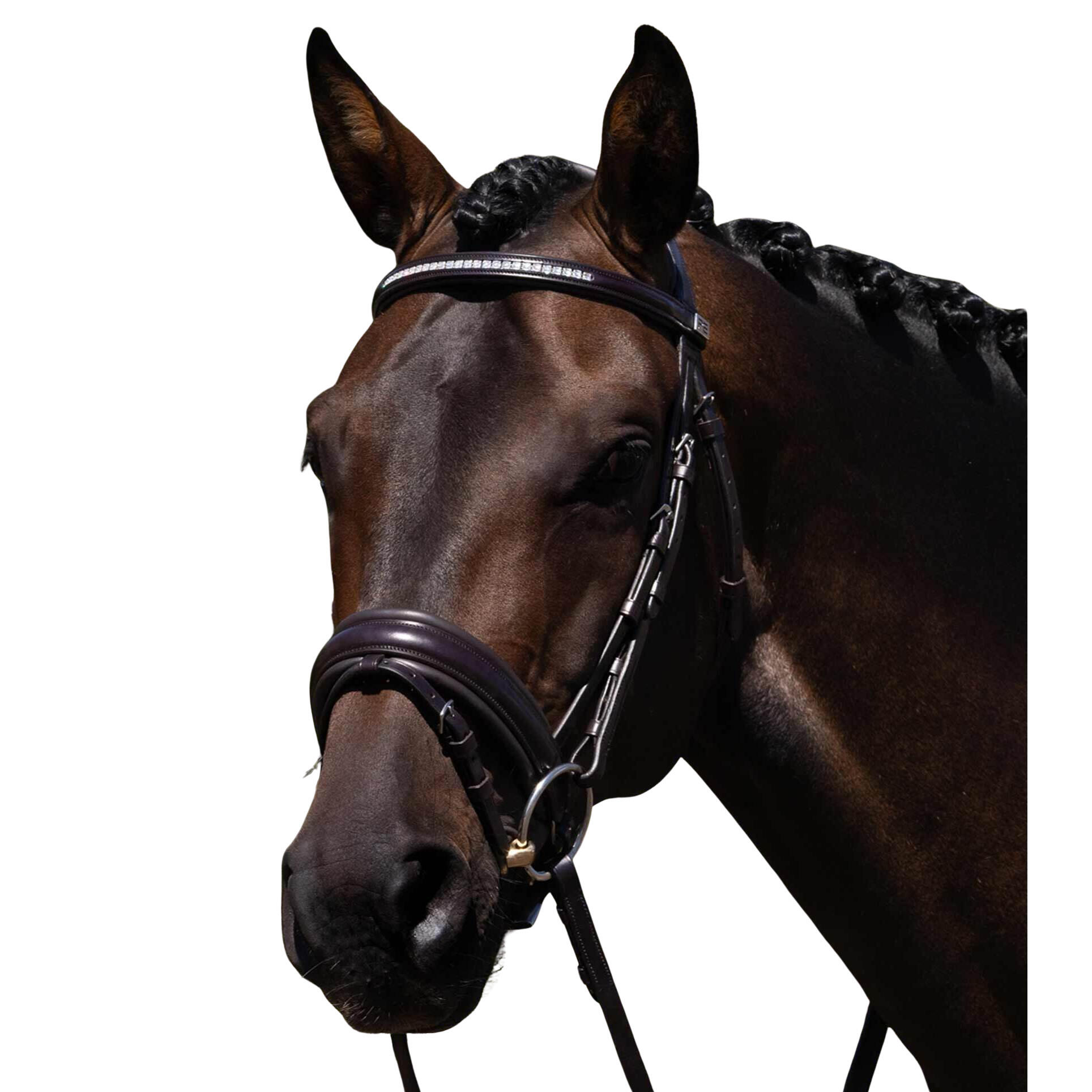 Bryczka anatomiczna Premier Equine Castello