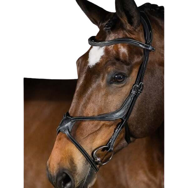 Uzda do jazdy konnej PS of Sweden Athens