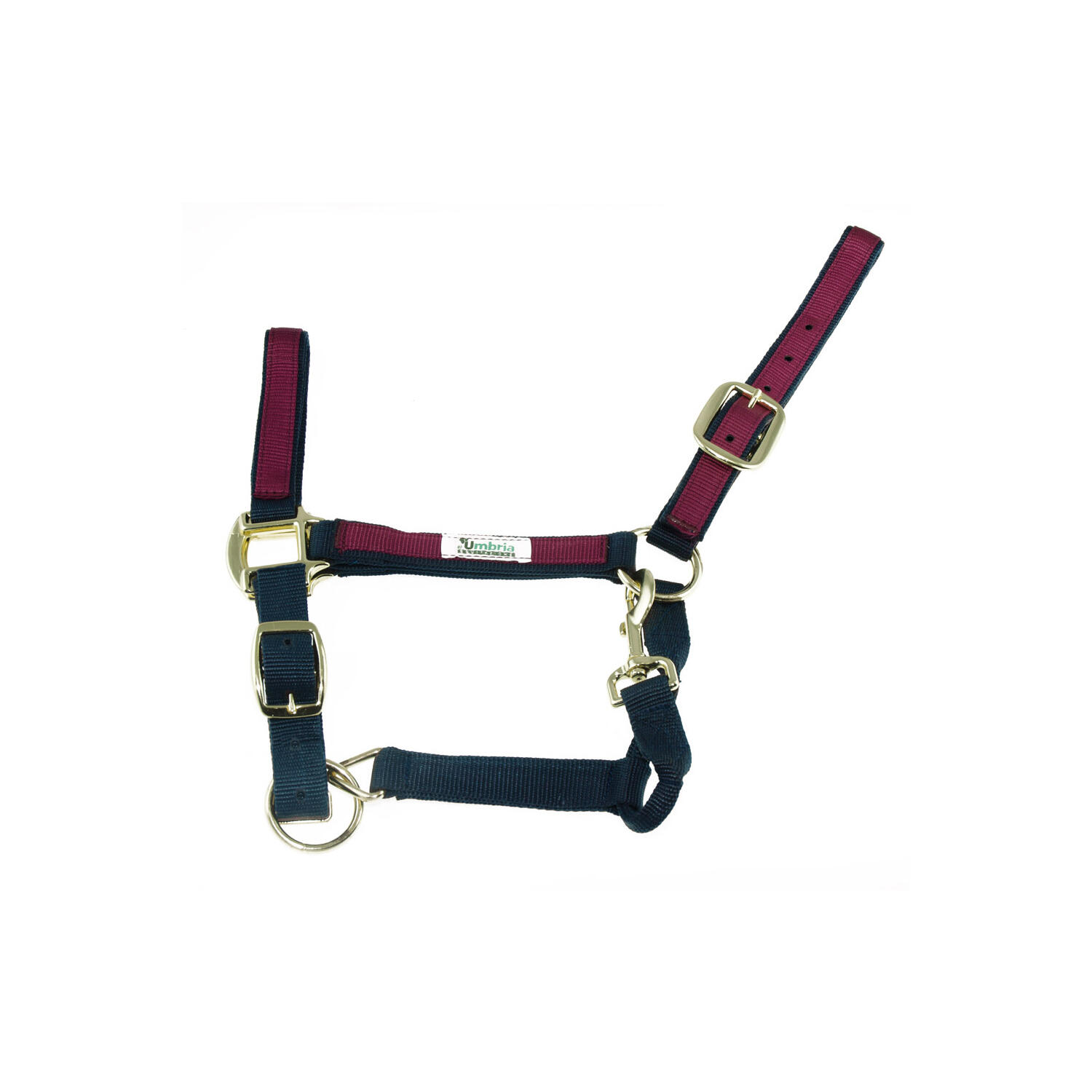 Smycz dla konia z kolorowego nylonu Umbria Equitazione