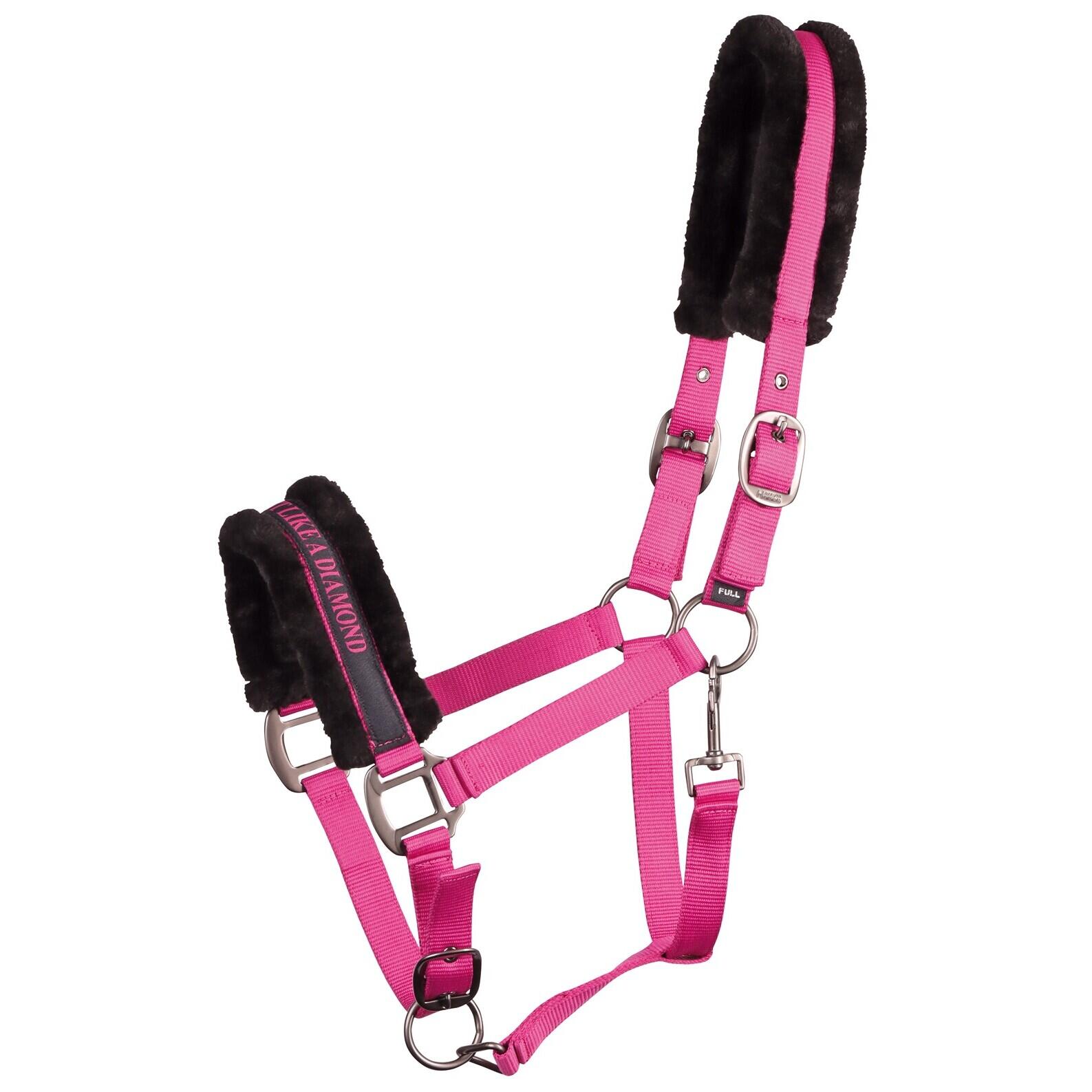 Kantar dla koni Harry's Horse Lyrics Quotes