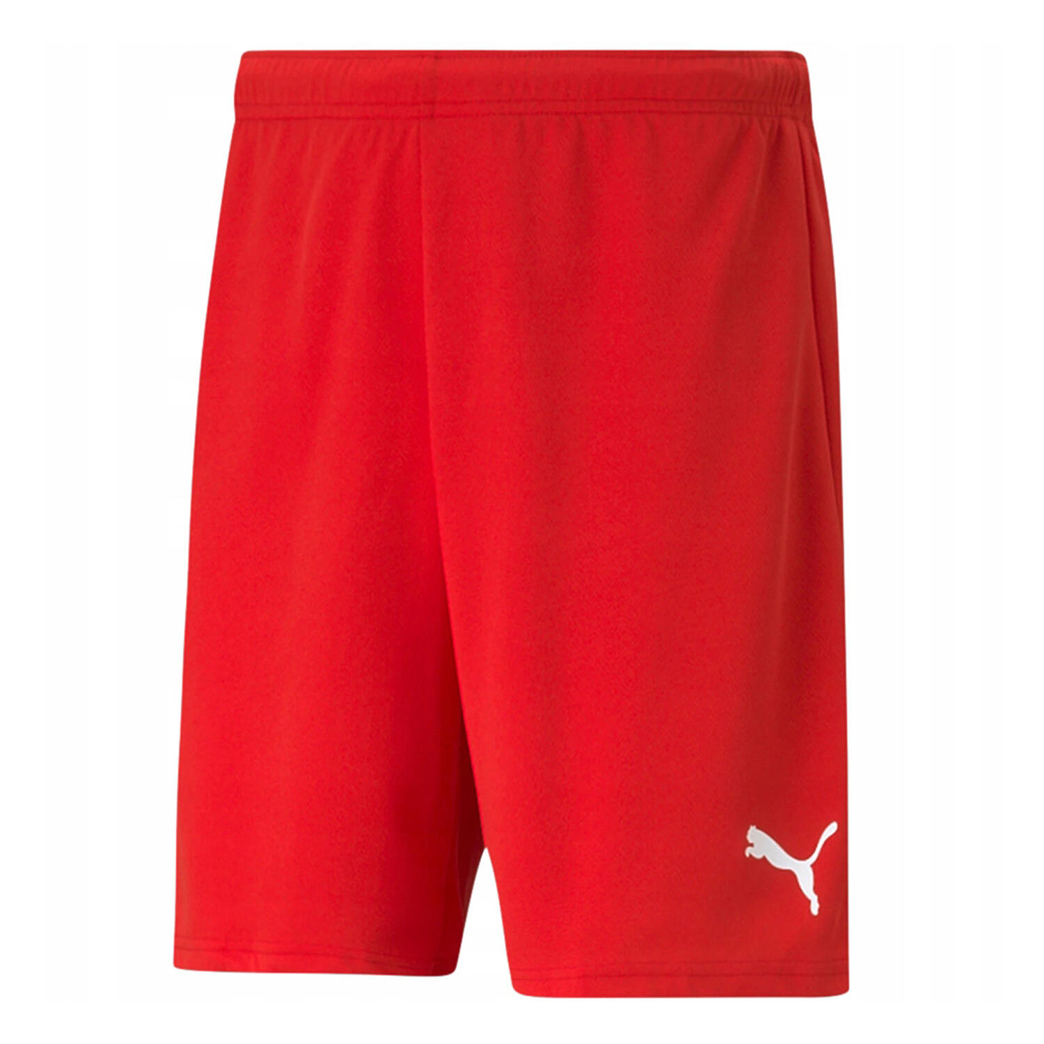 Męskie Spodenki TeamRISE