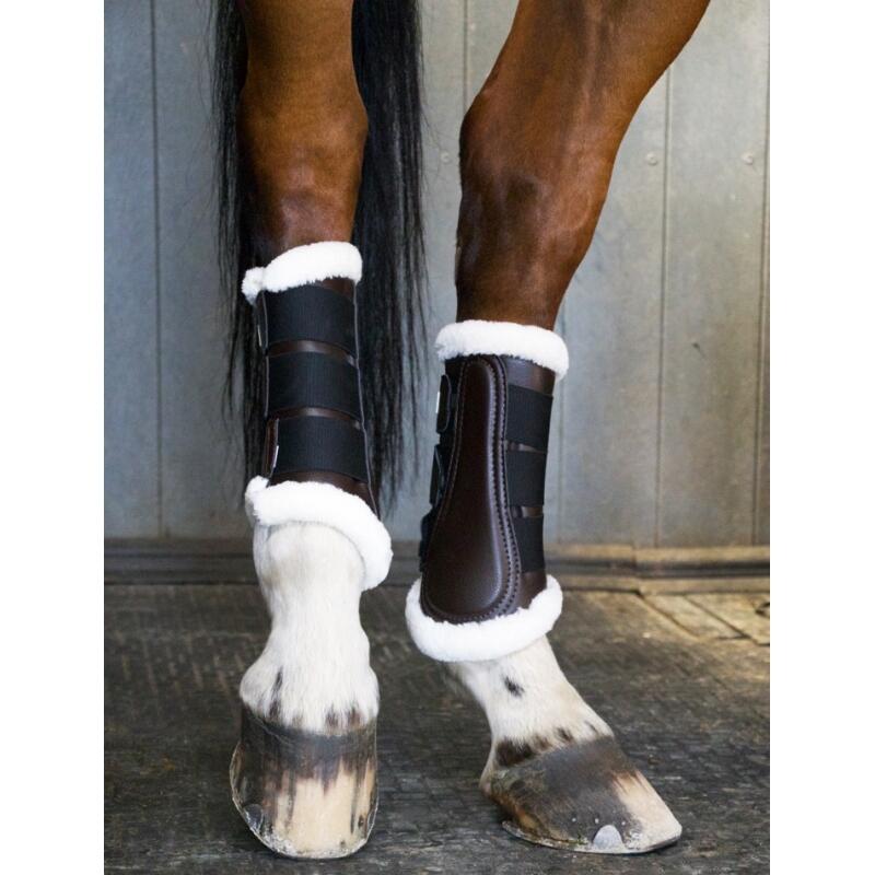 Przednie Ochraniacze do ujeżdżania koni T de T "Training 22"