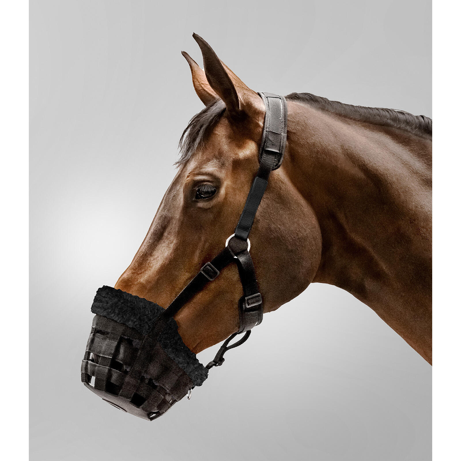 Komfortowy kantar dla konia Waldhausen