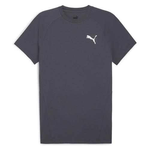 Koszulka sportowa męska Puma Evostripe Tee