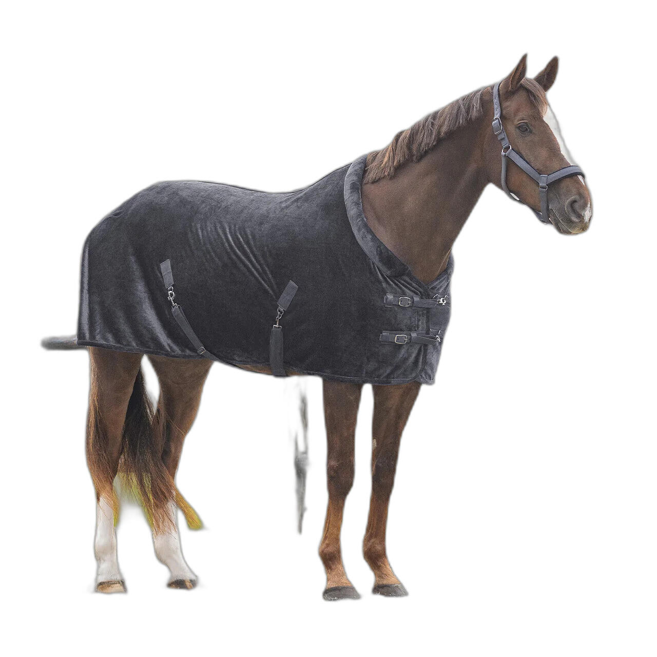 Derka polarowa dla koni QHP Sensisoft