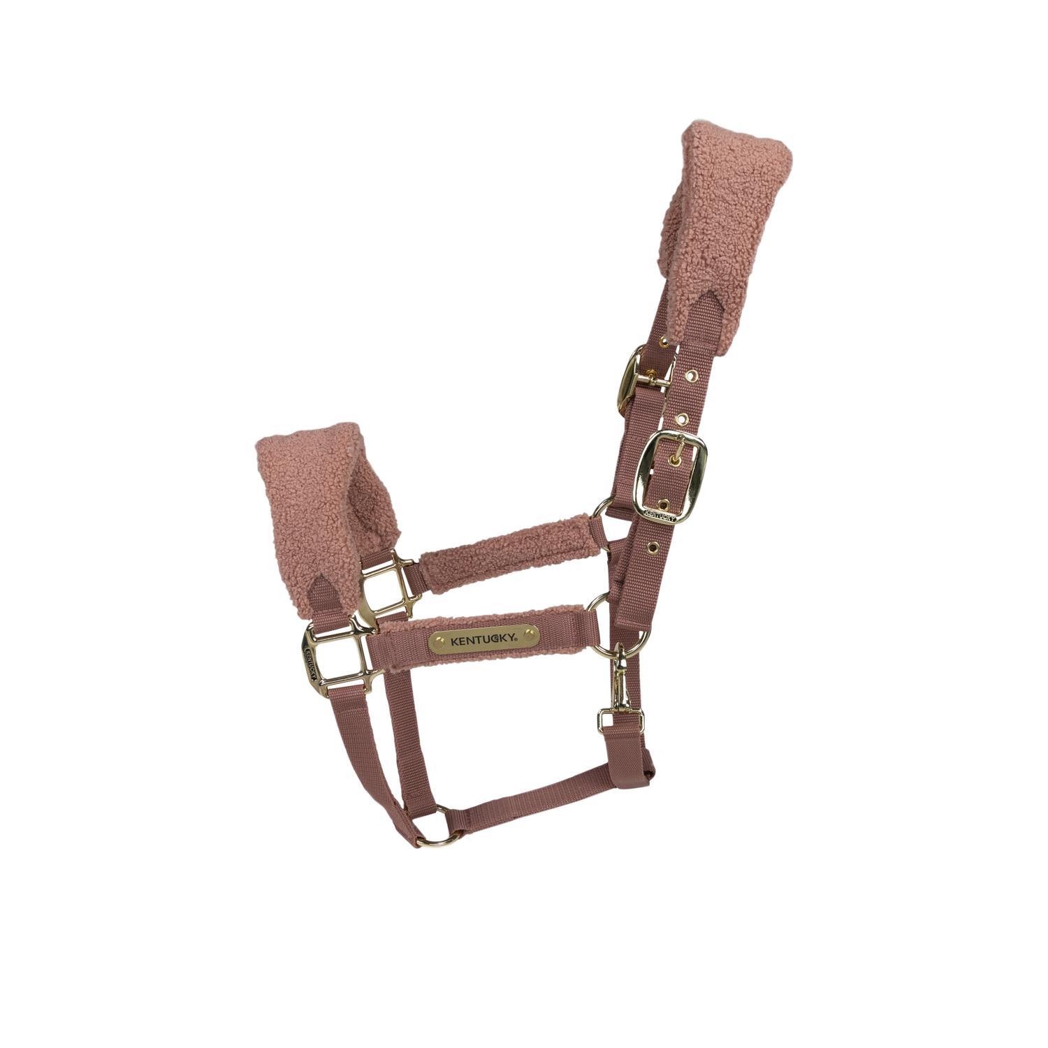 Kantar dla koni polarnych Kentucky Teddy