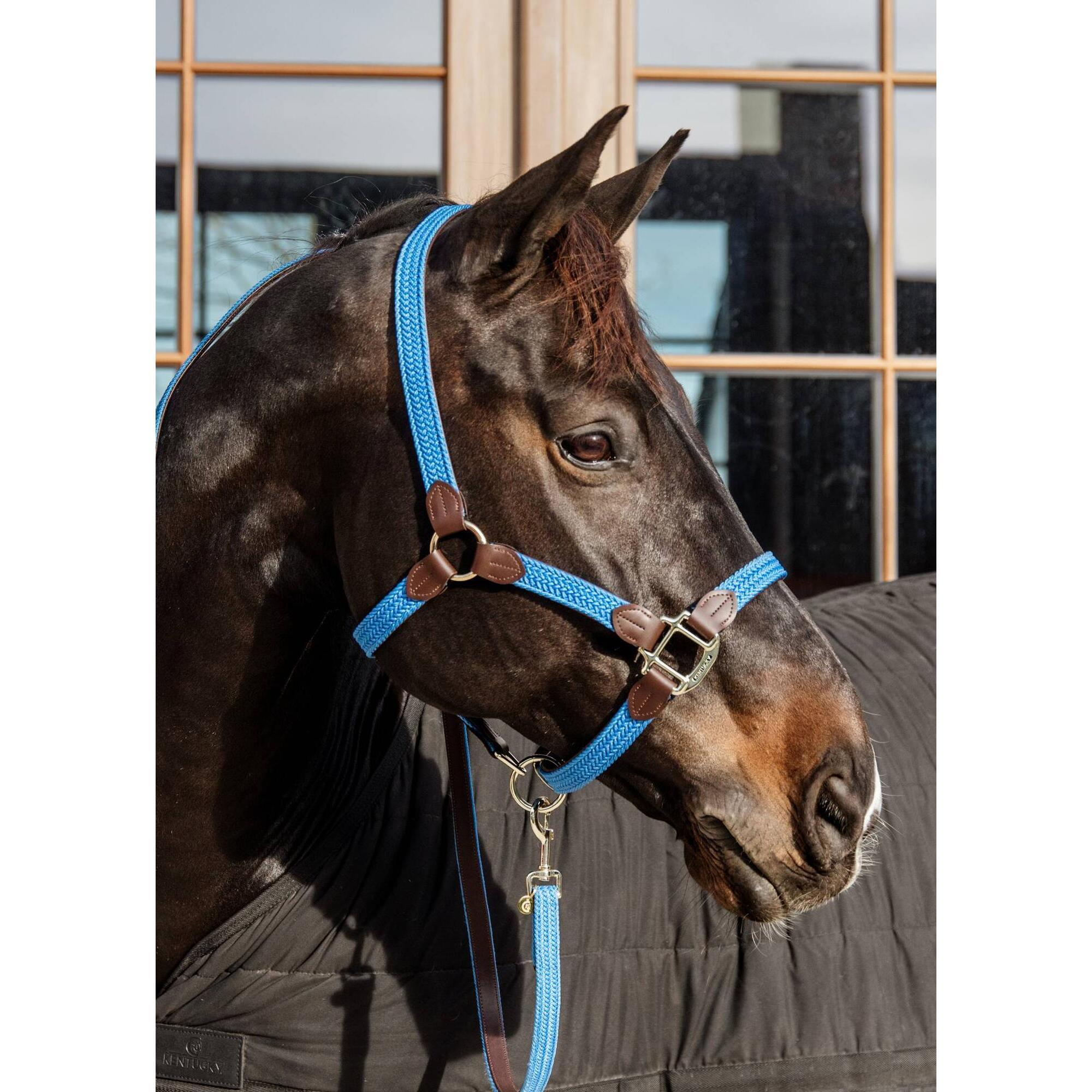 Pleciony Kantar nylon Kentucky