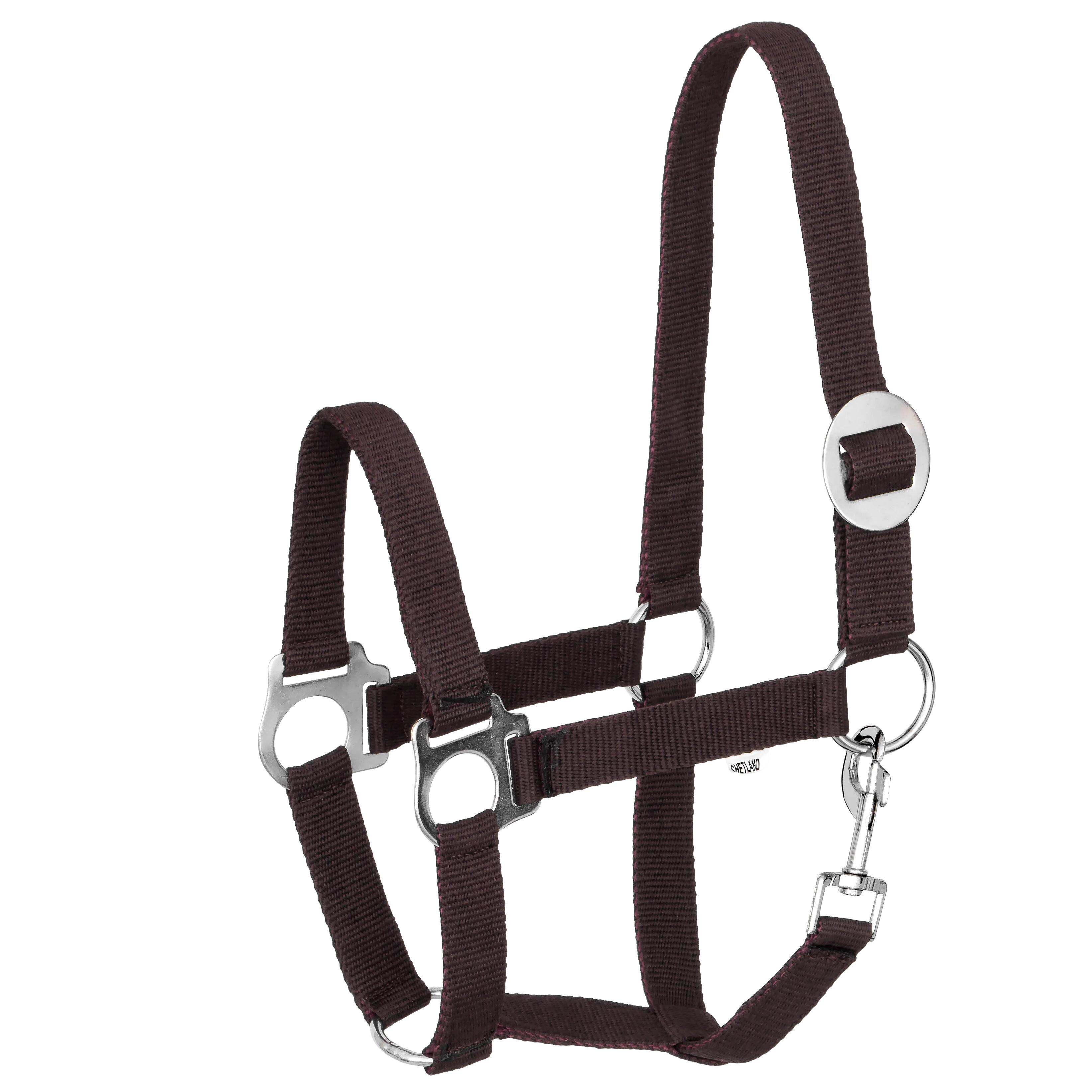 Kantar START Economic