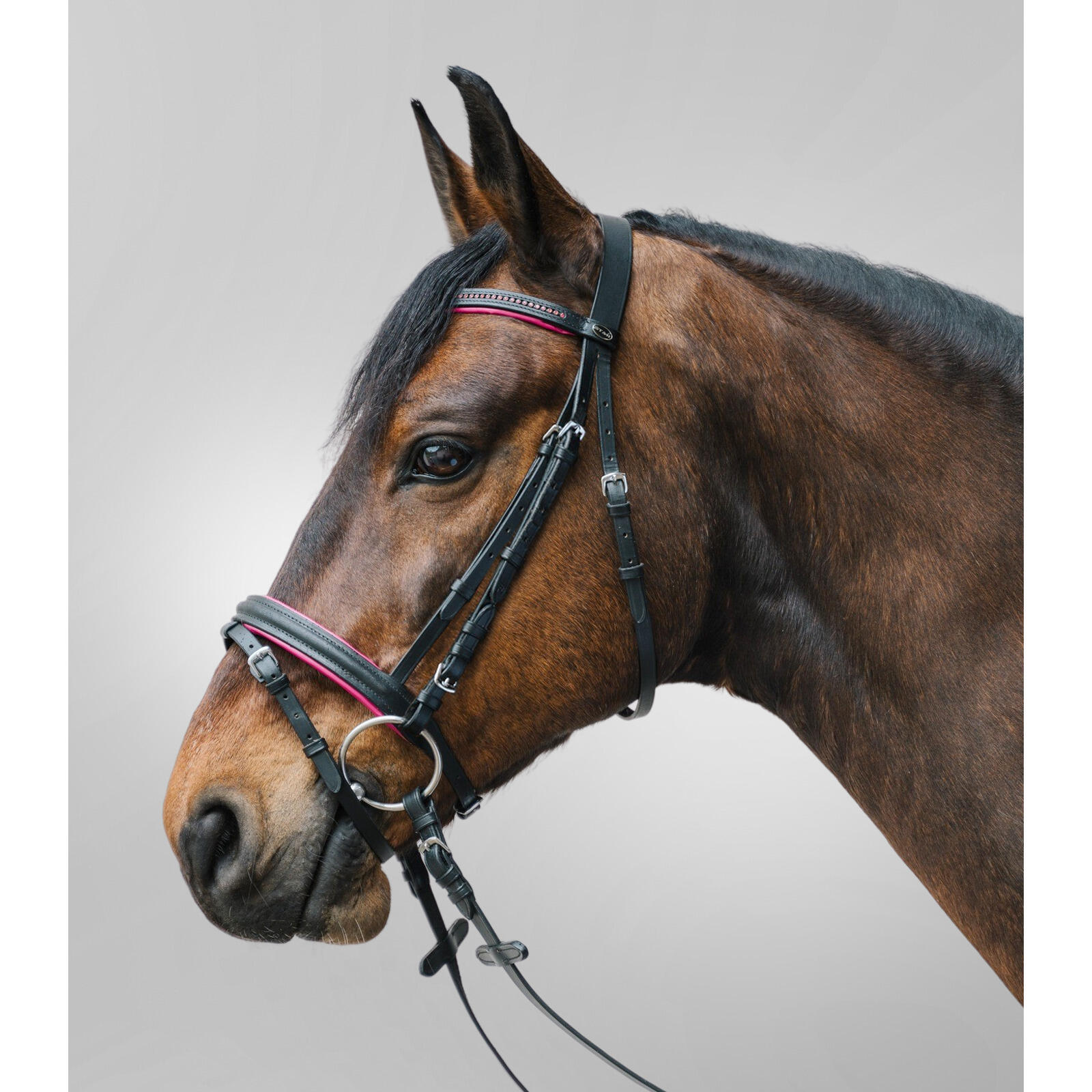 Siodło jeździeckie z kombinowanym nachrapnikiem Star Diamond