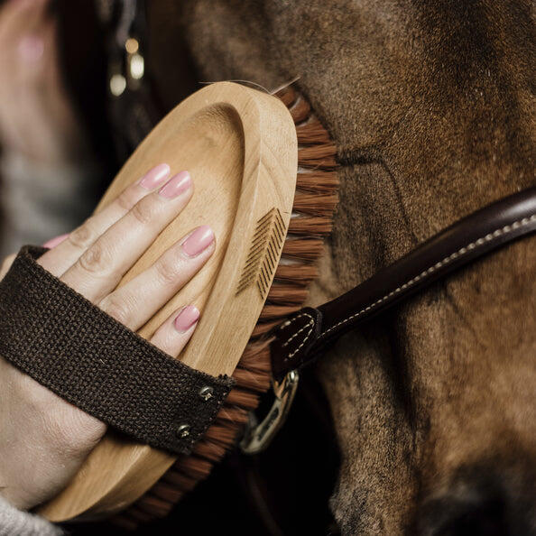 Kentucky Overall Brush - Soft