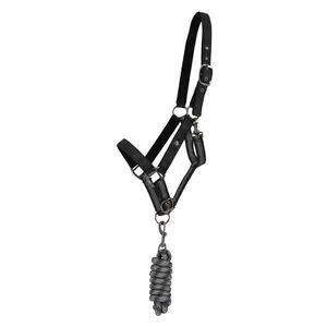 Zestaw Kantar i linka dla koni QHP Tournout Collection