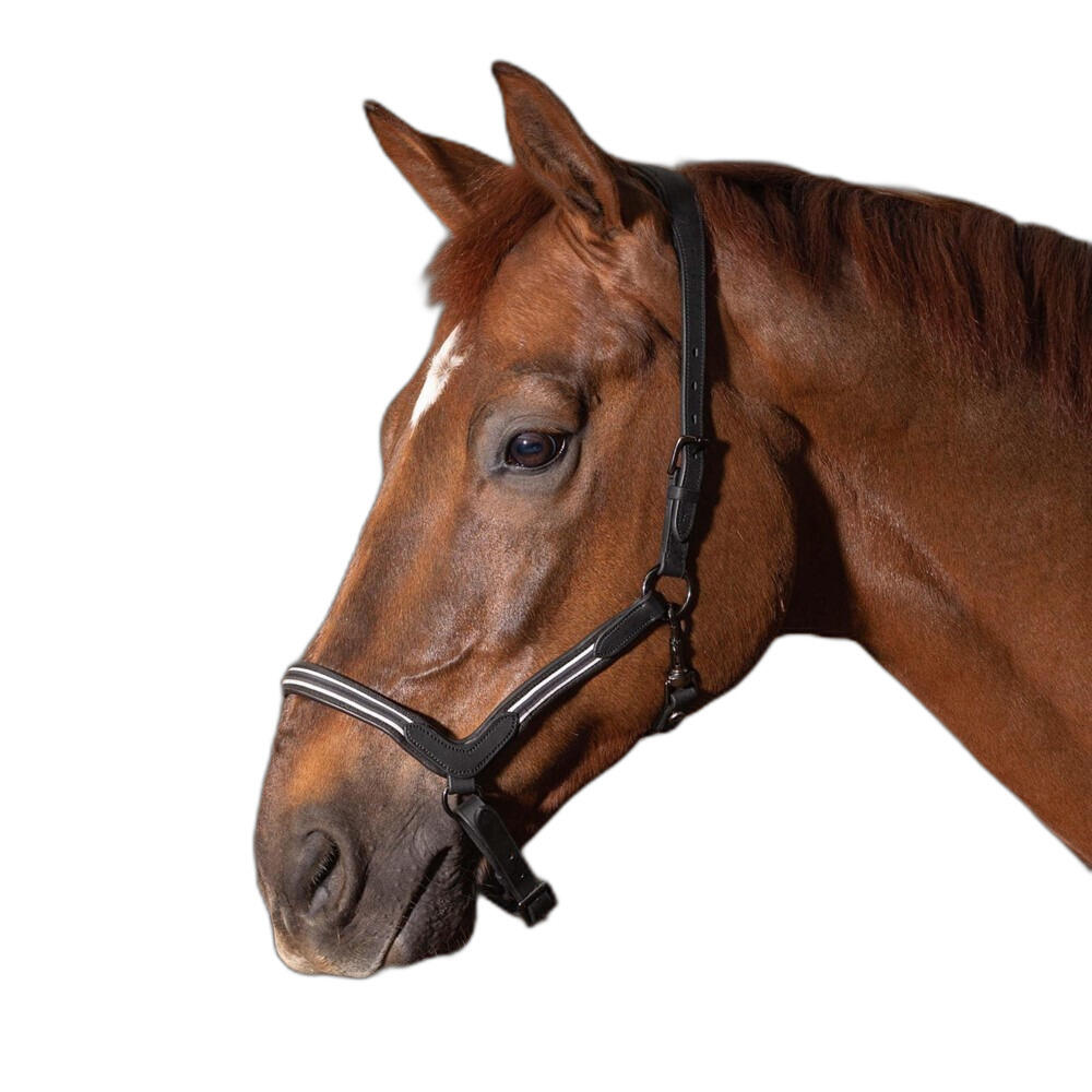 Skórzany kantar dla koni Harry's Horse Flash