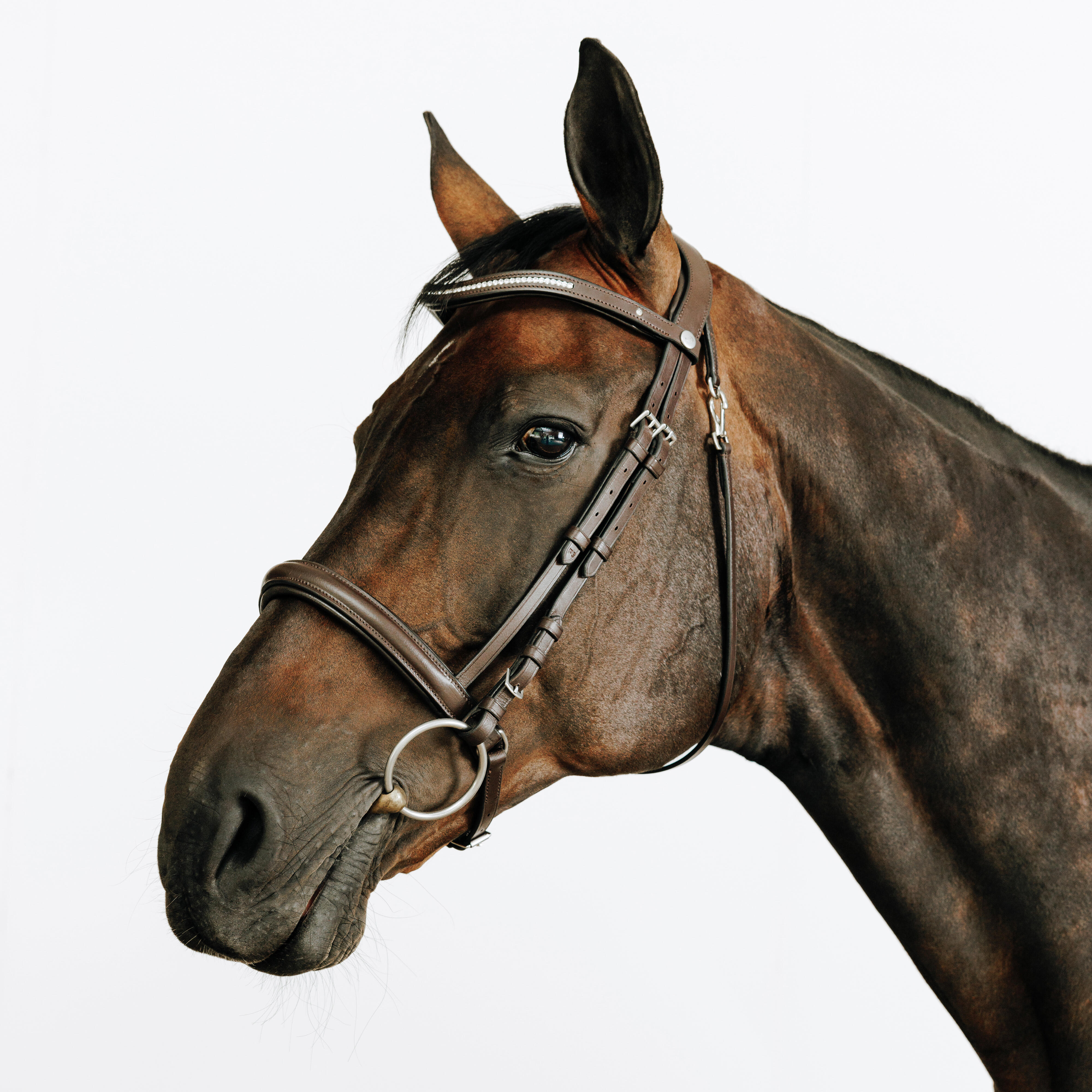 Ogłowie dla konia i kuca 580 Strass skórzane