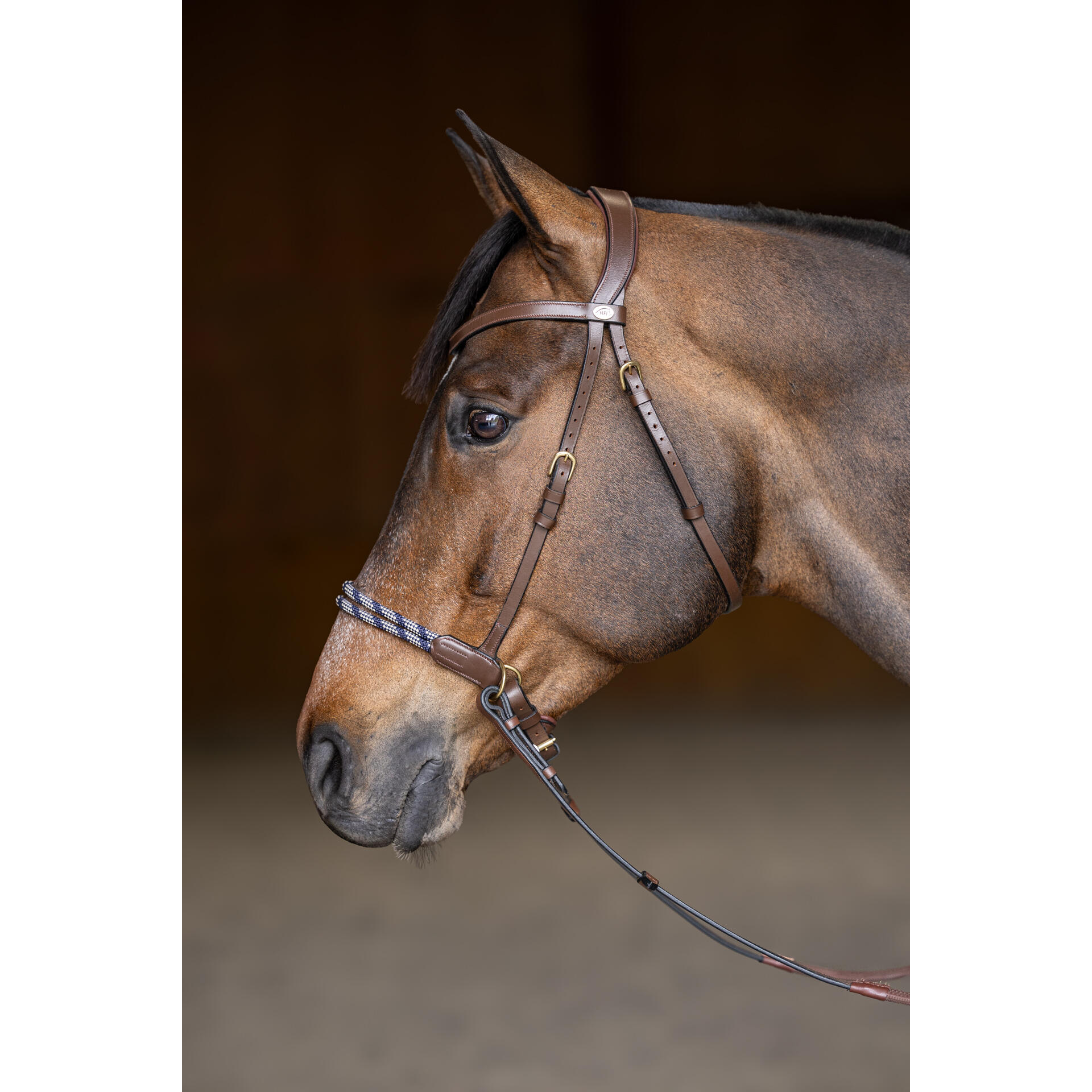 Siodło jeździeckie anatomiczne bez wędzidła HFI Freedom